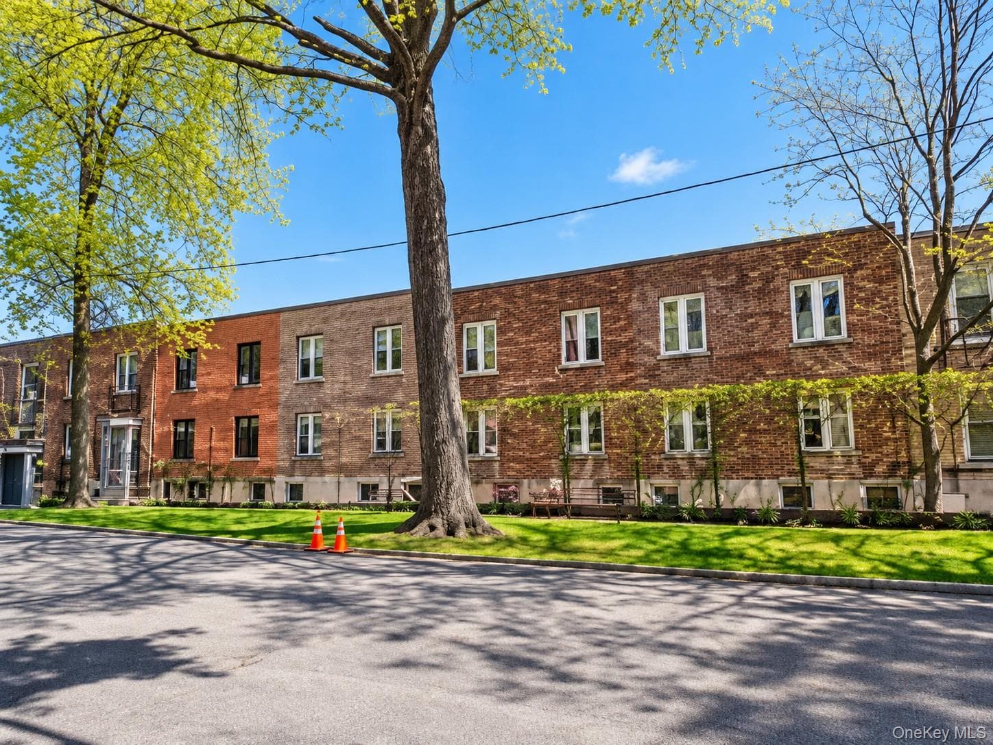 1480 Thieriot Avenue Unit: 5M thumbnail 11