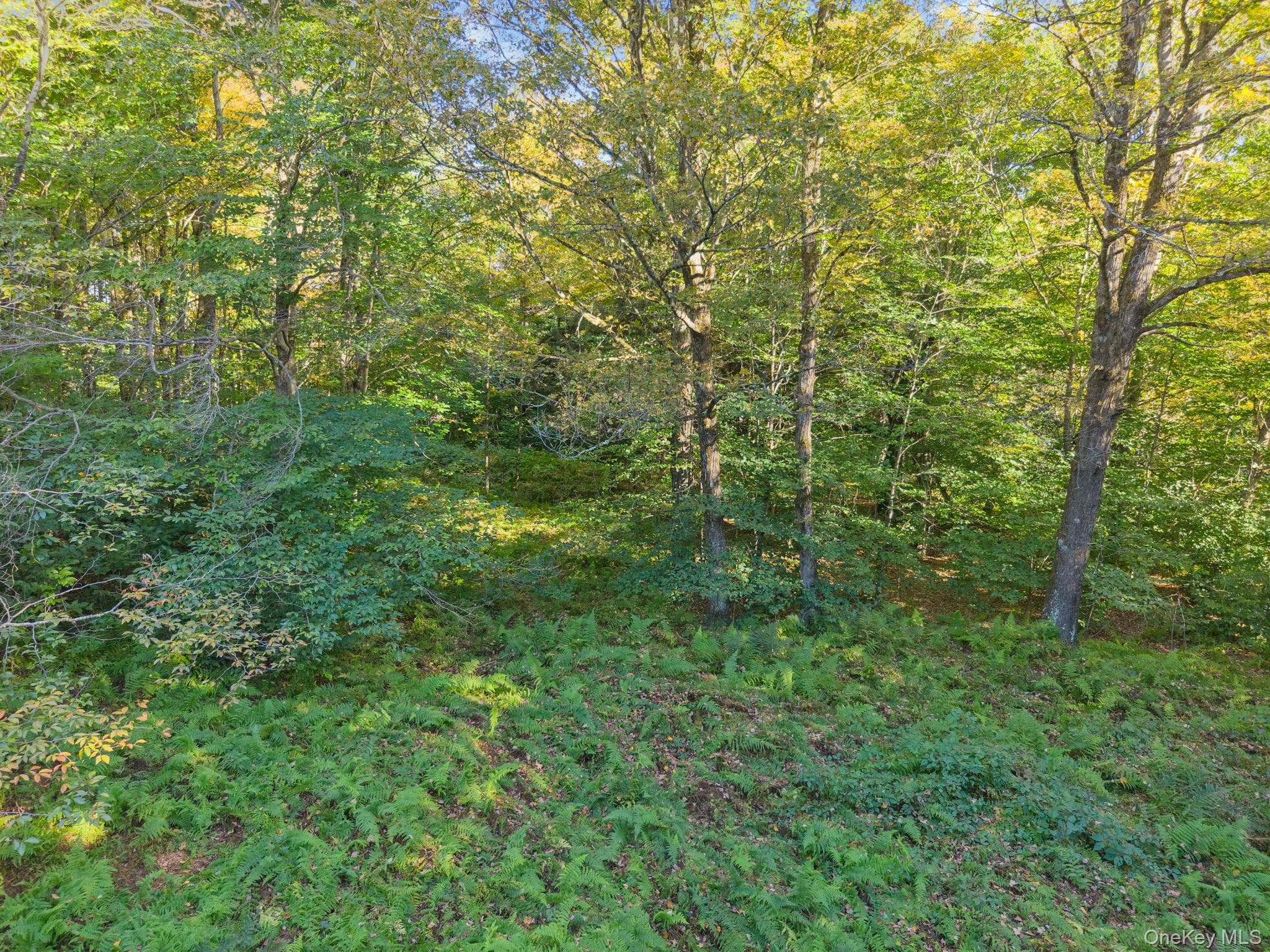 L1.3 N Harpersfield Rd, Jefferson Ny thumbnail 8