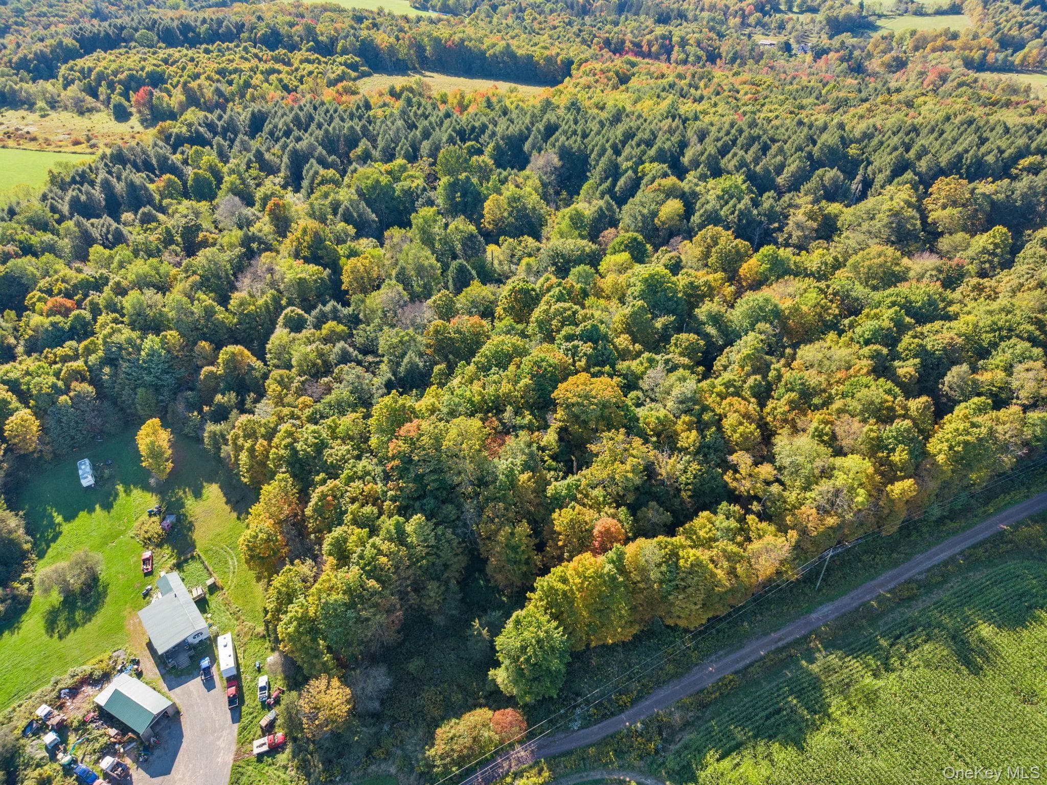 L1.3 N Harpersfield Rd, Jefferson Ny thumbnail 6