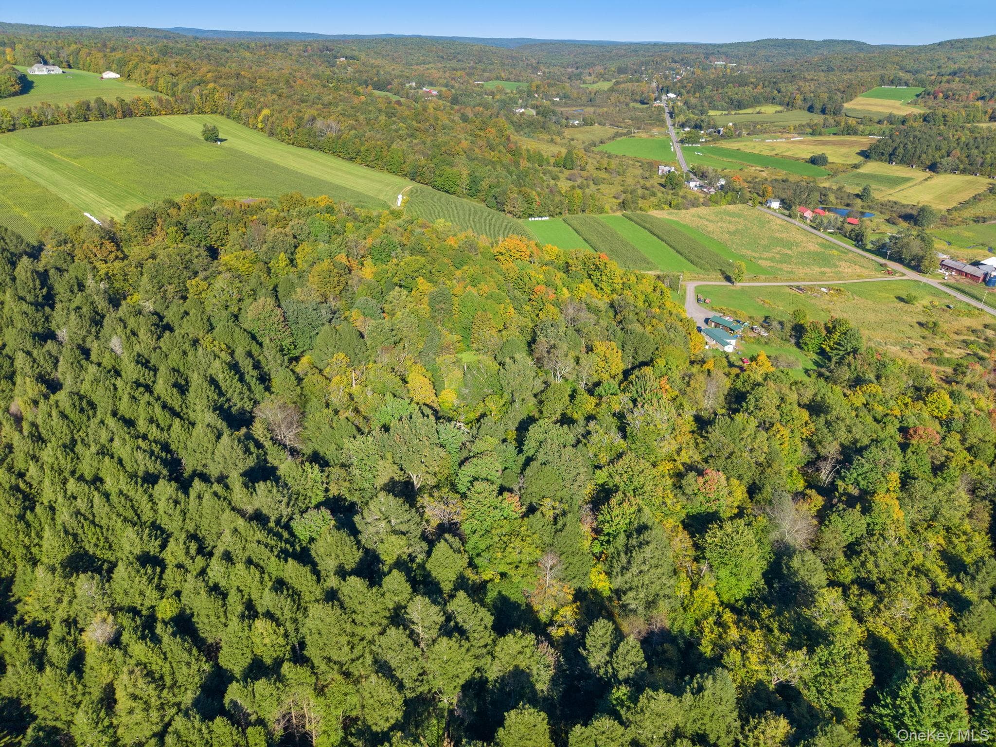 L1.3 N Harpersfield Rd, Jefferson Ny thumbnail 10