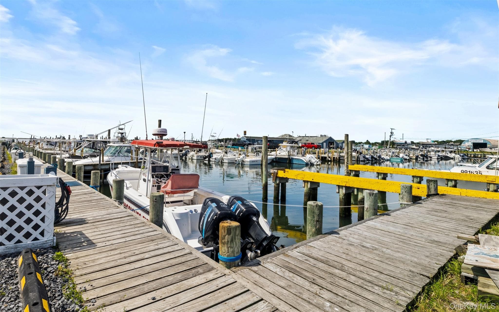 215 Atlantic Avenue thumbnail 12