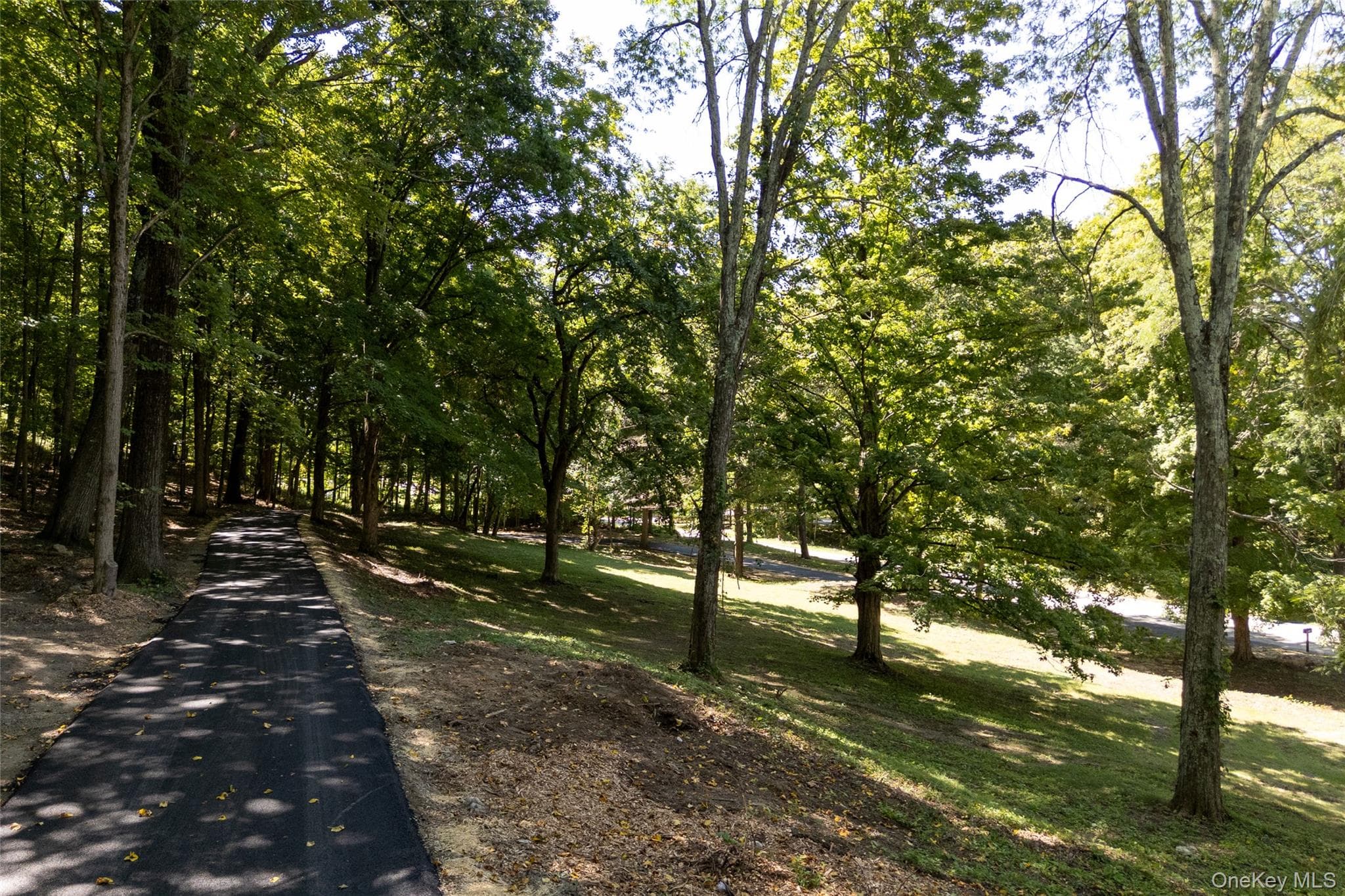 156 Farm Road thumbnail 5