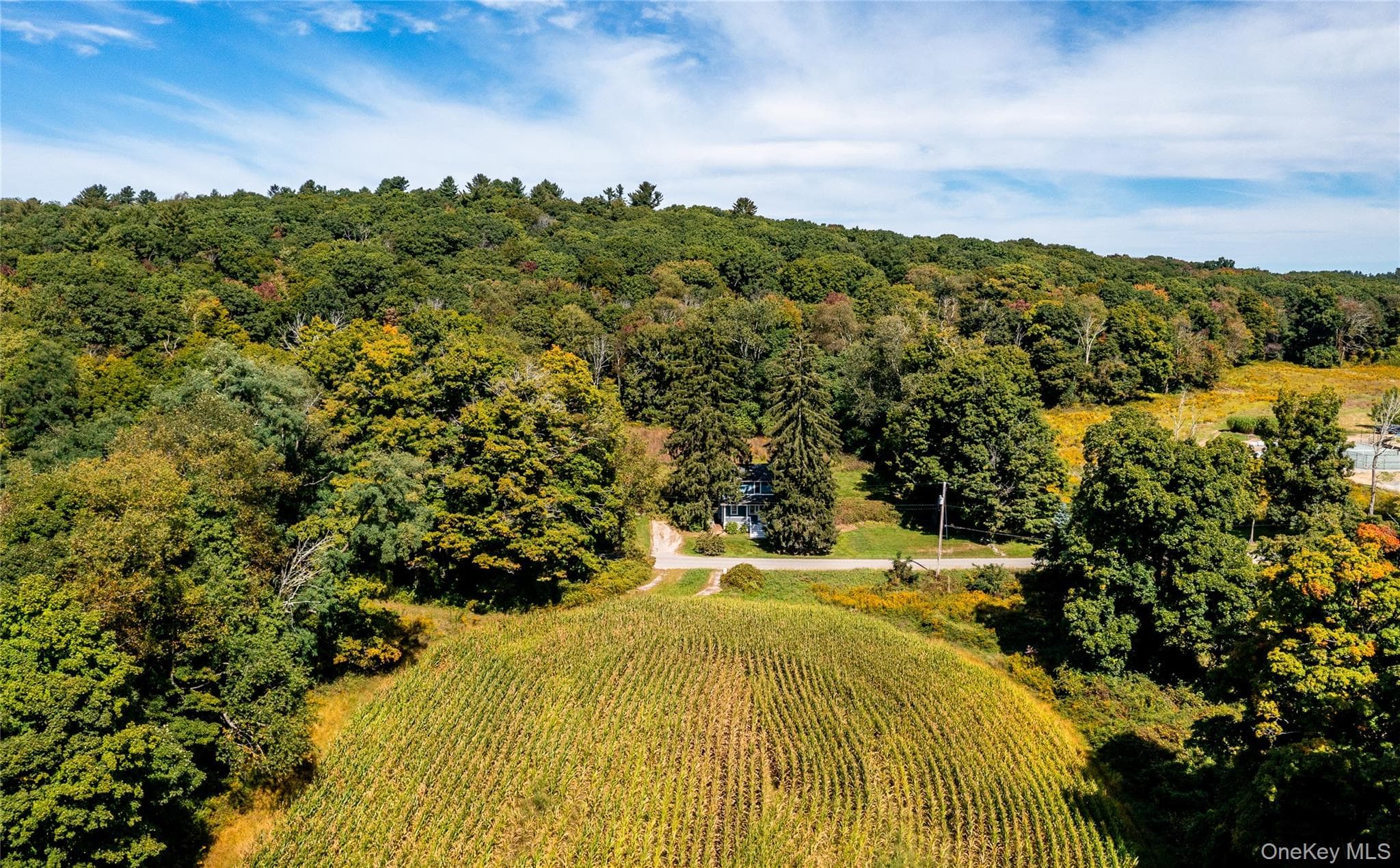 672 Tower Hill Road thumbnail 29