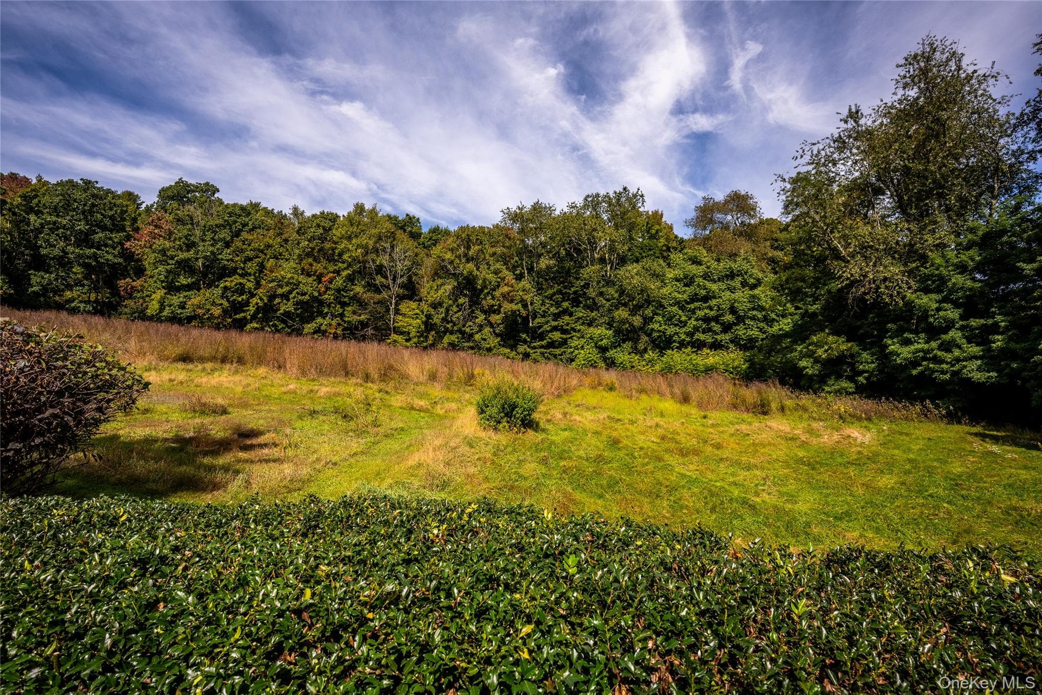 672 Tower Hill Road thumbnail 11