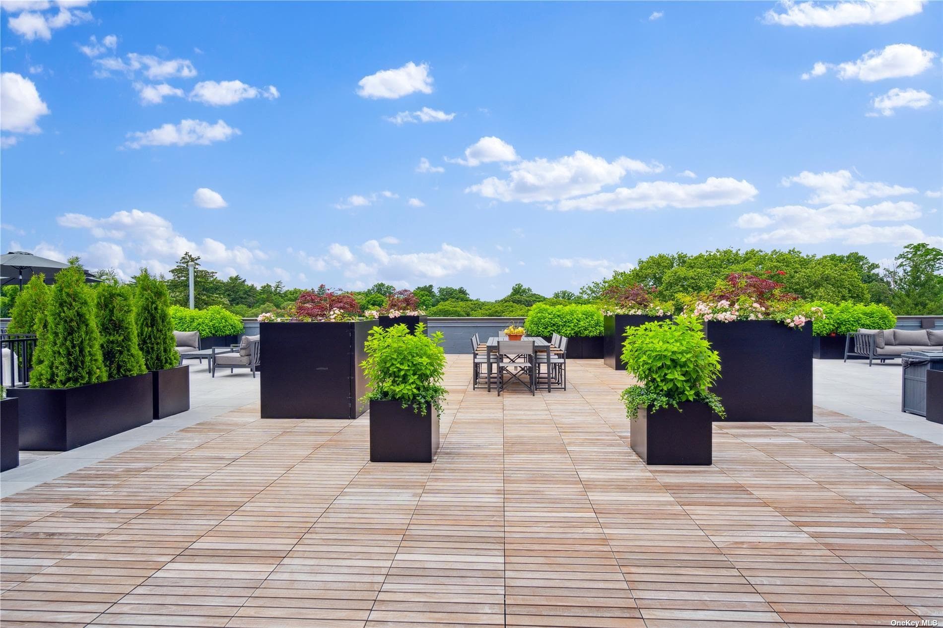 218 Middle Neck Road Unit: 205 thumbnail 5