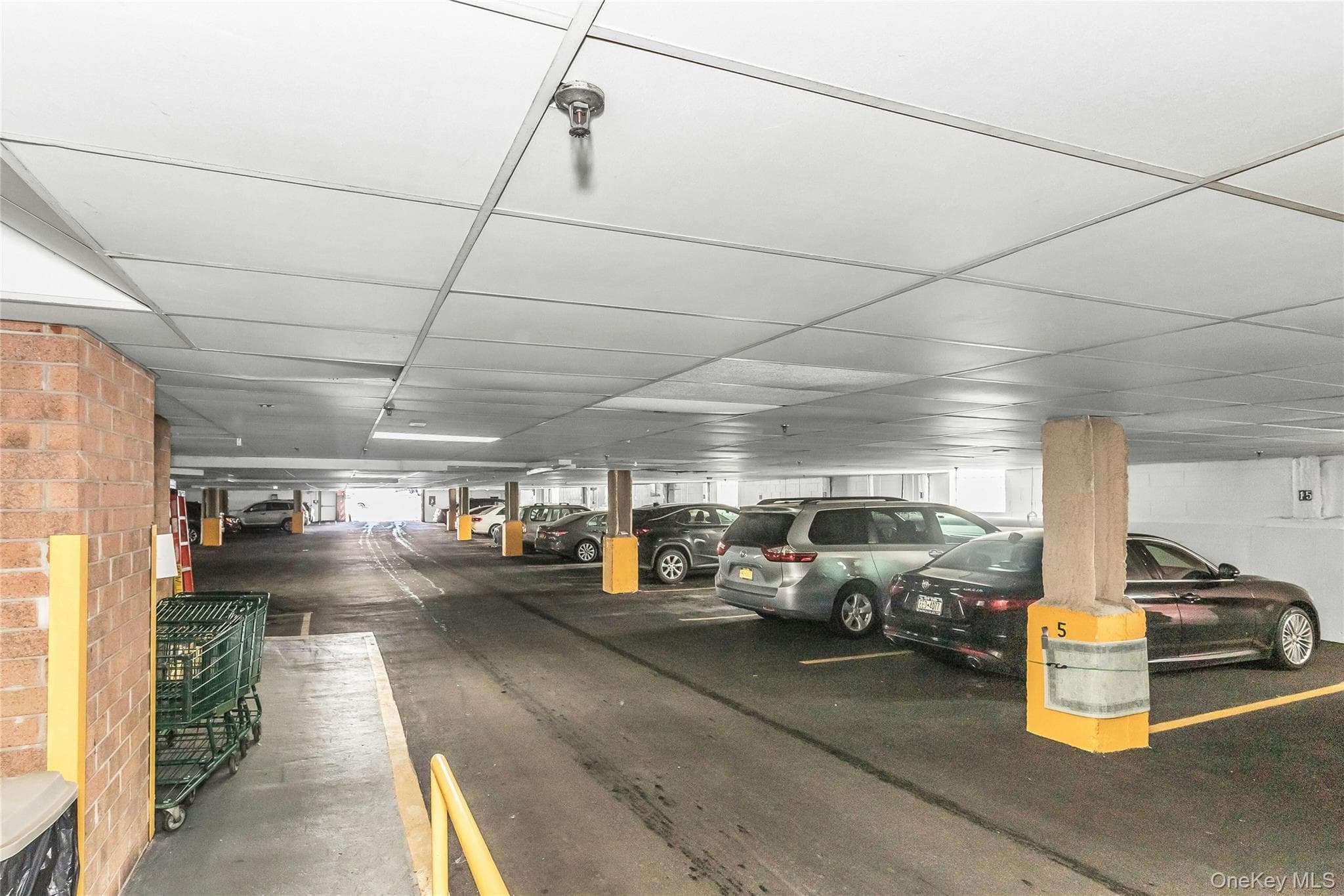 800 Willis Avenue Unit: 105 thumbnail 22
