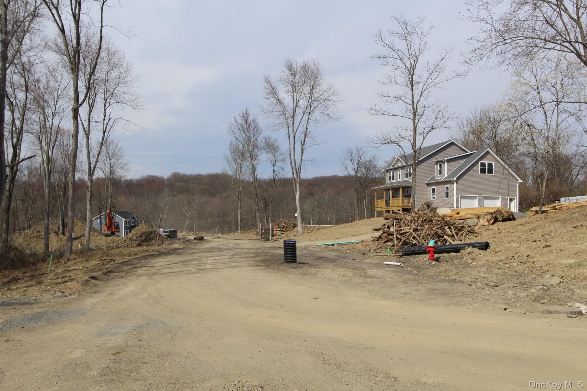 12 Tamarack Drive thumbnail 39