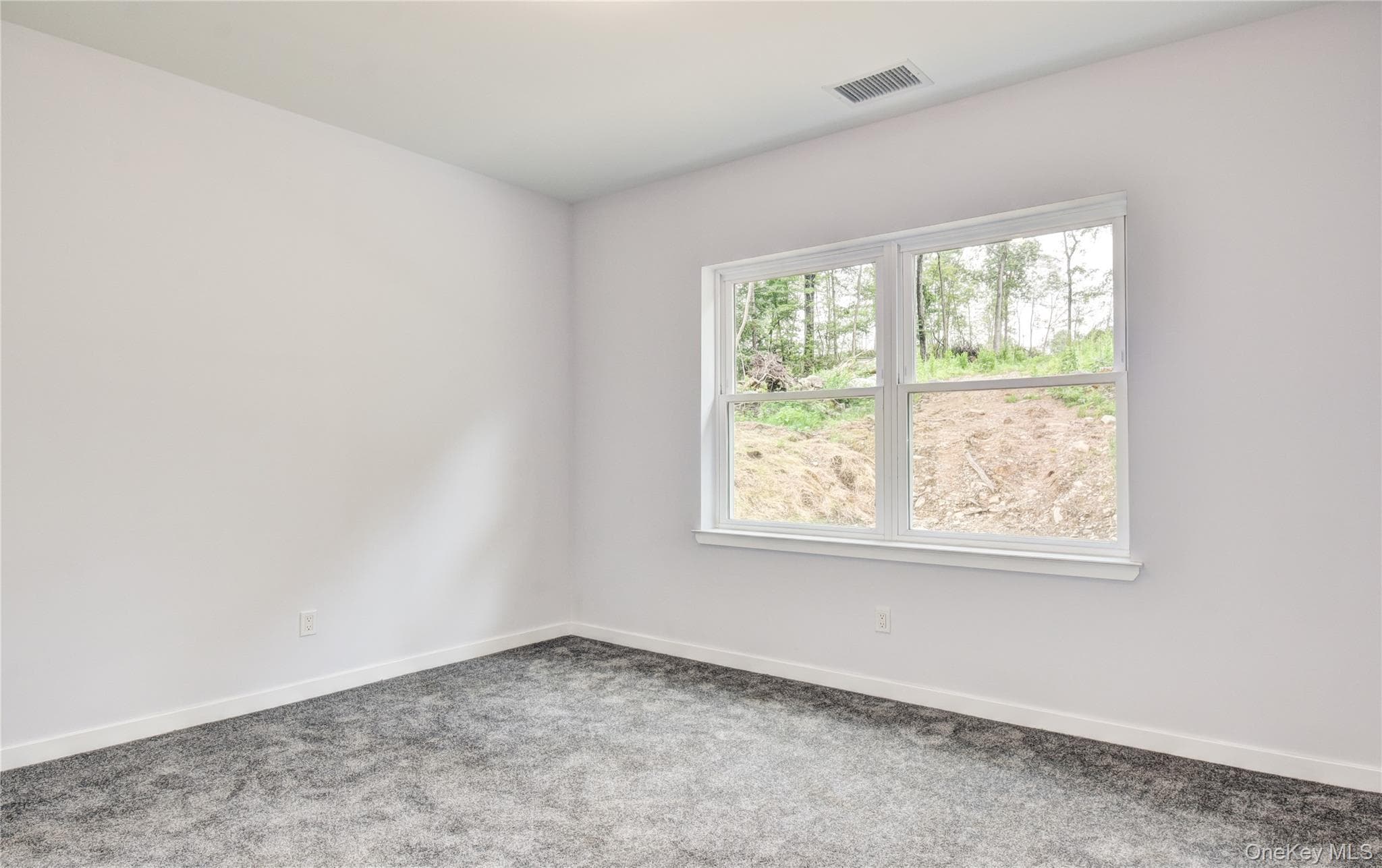 12 Tamarack Drive thumbnail 21