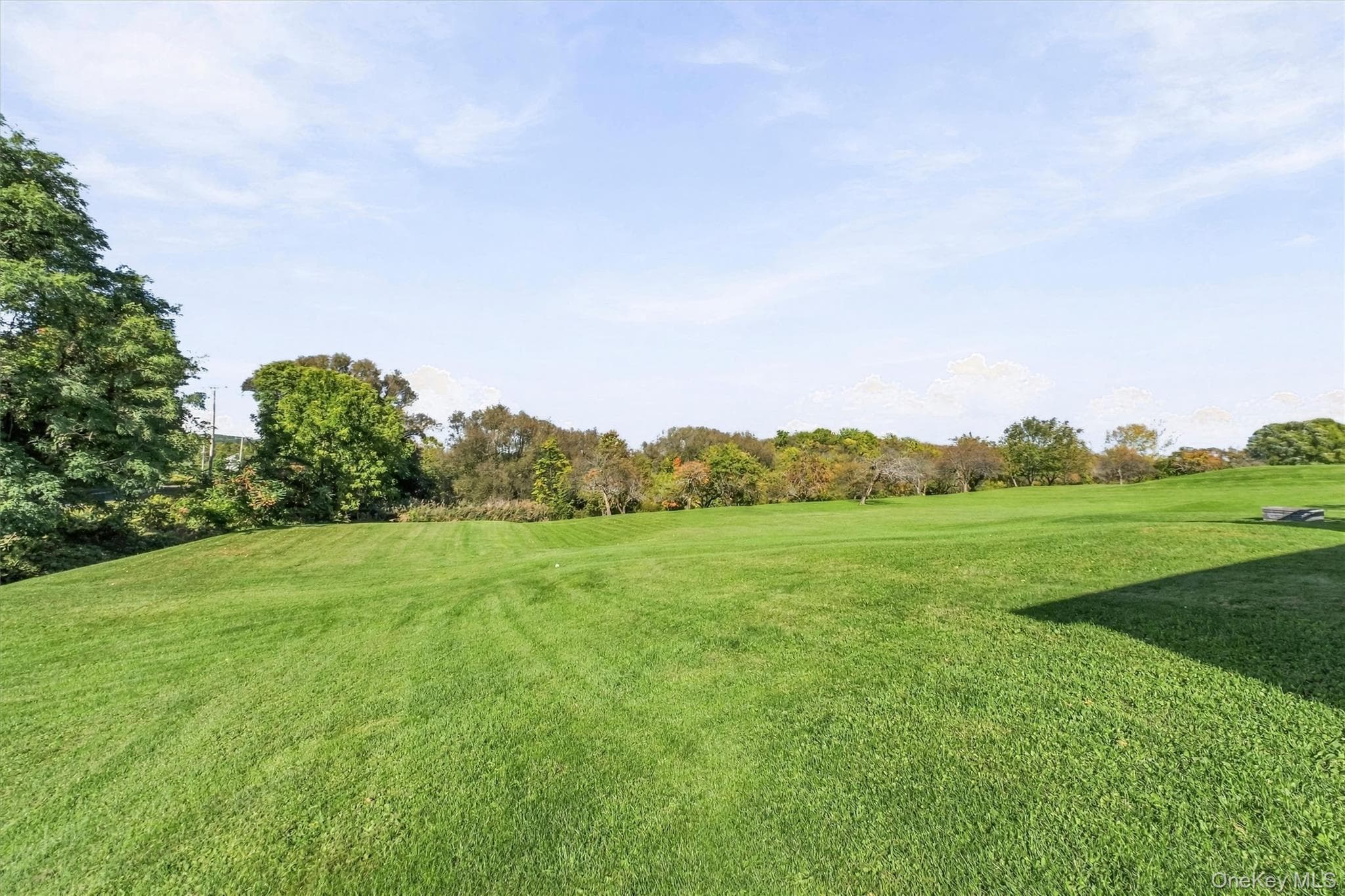 432 Willow Tree Road thumbnail 35