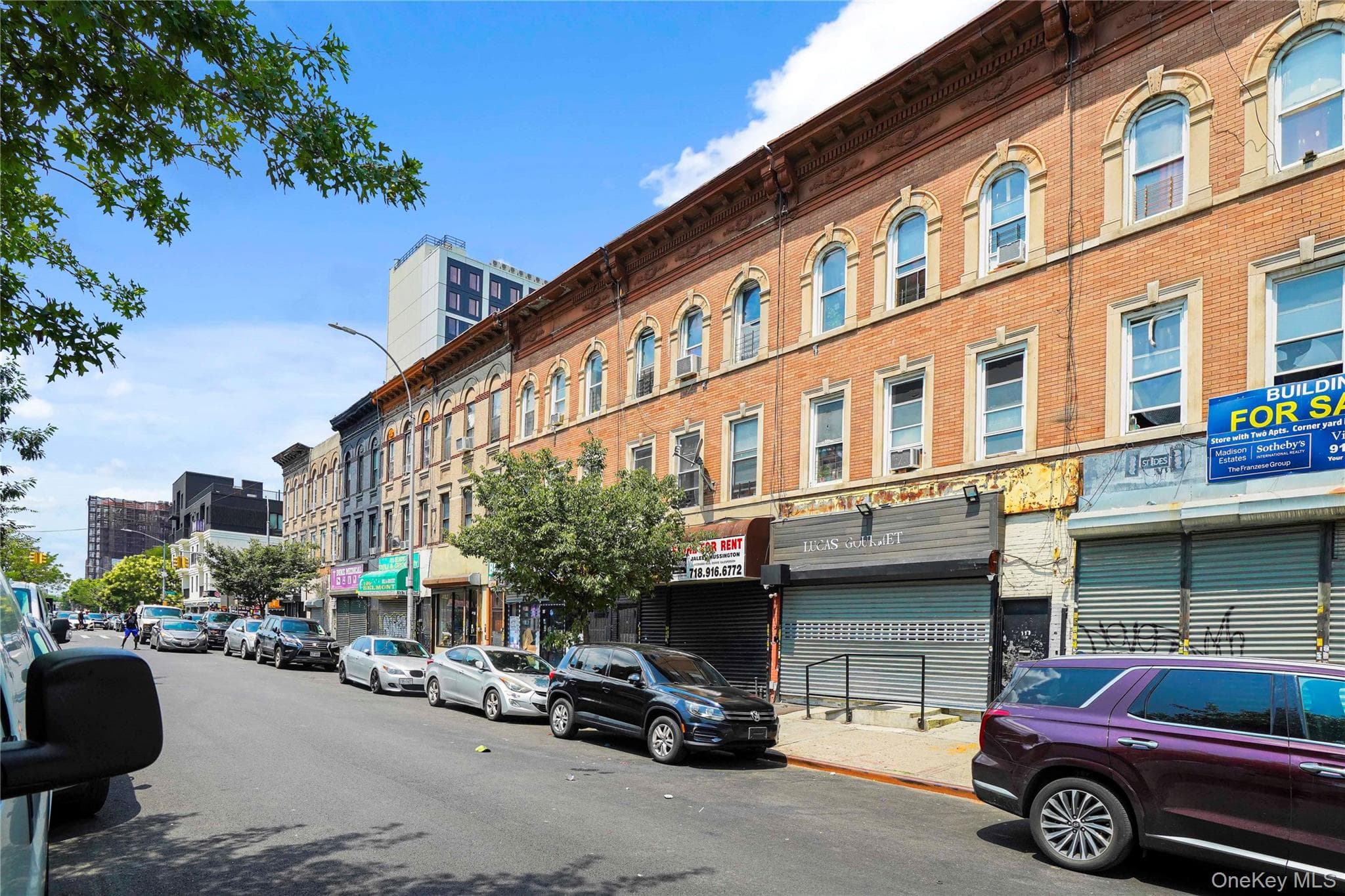 113 Belmont Avenue thumbnail 4