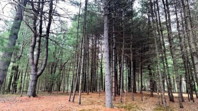 Lot 12 White Road thumbnail 7