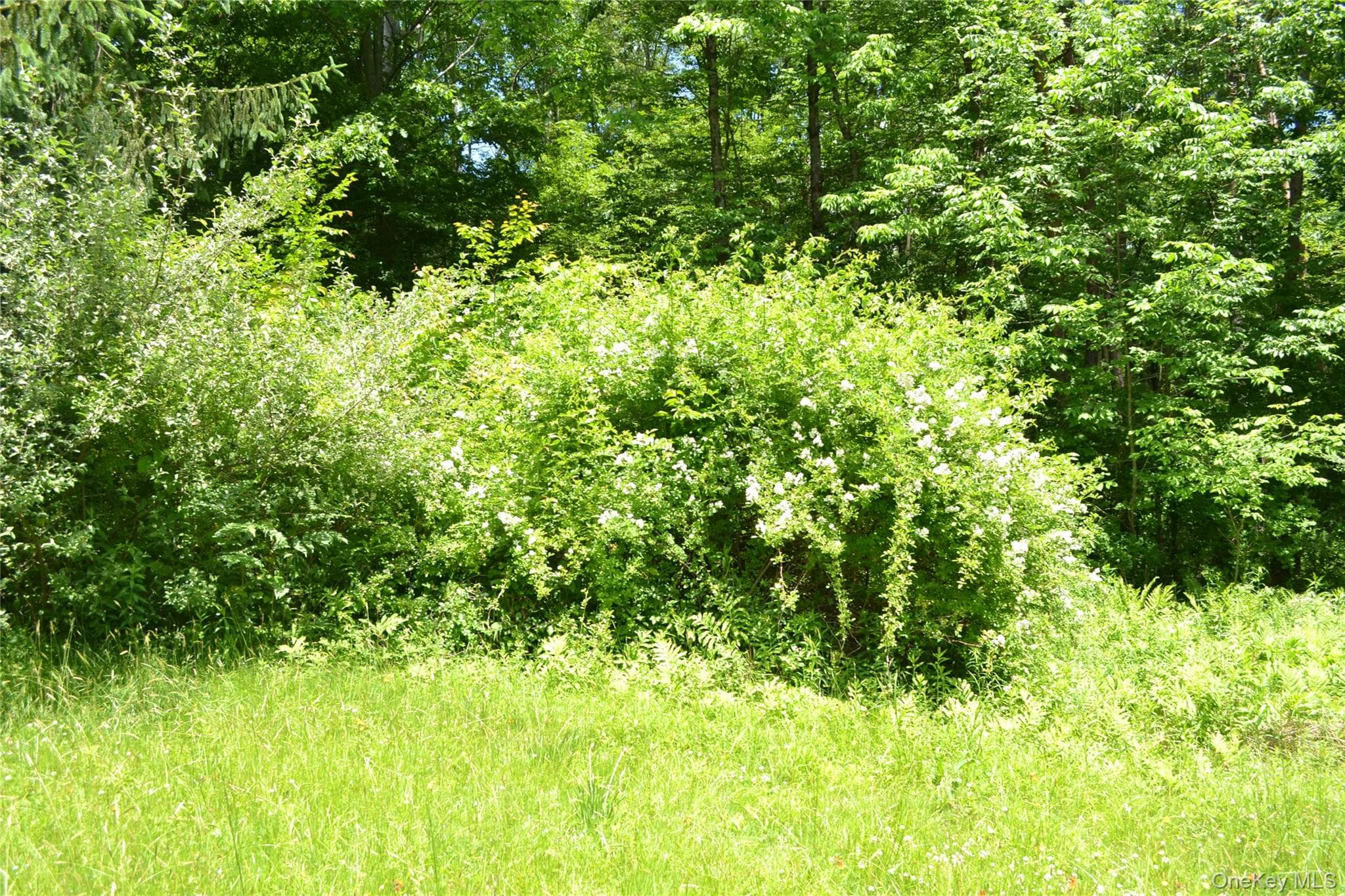 549 Gavette Road thumbnail 25