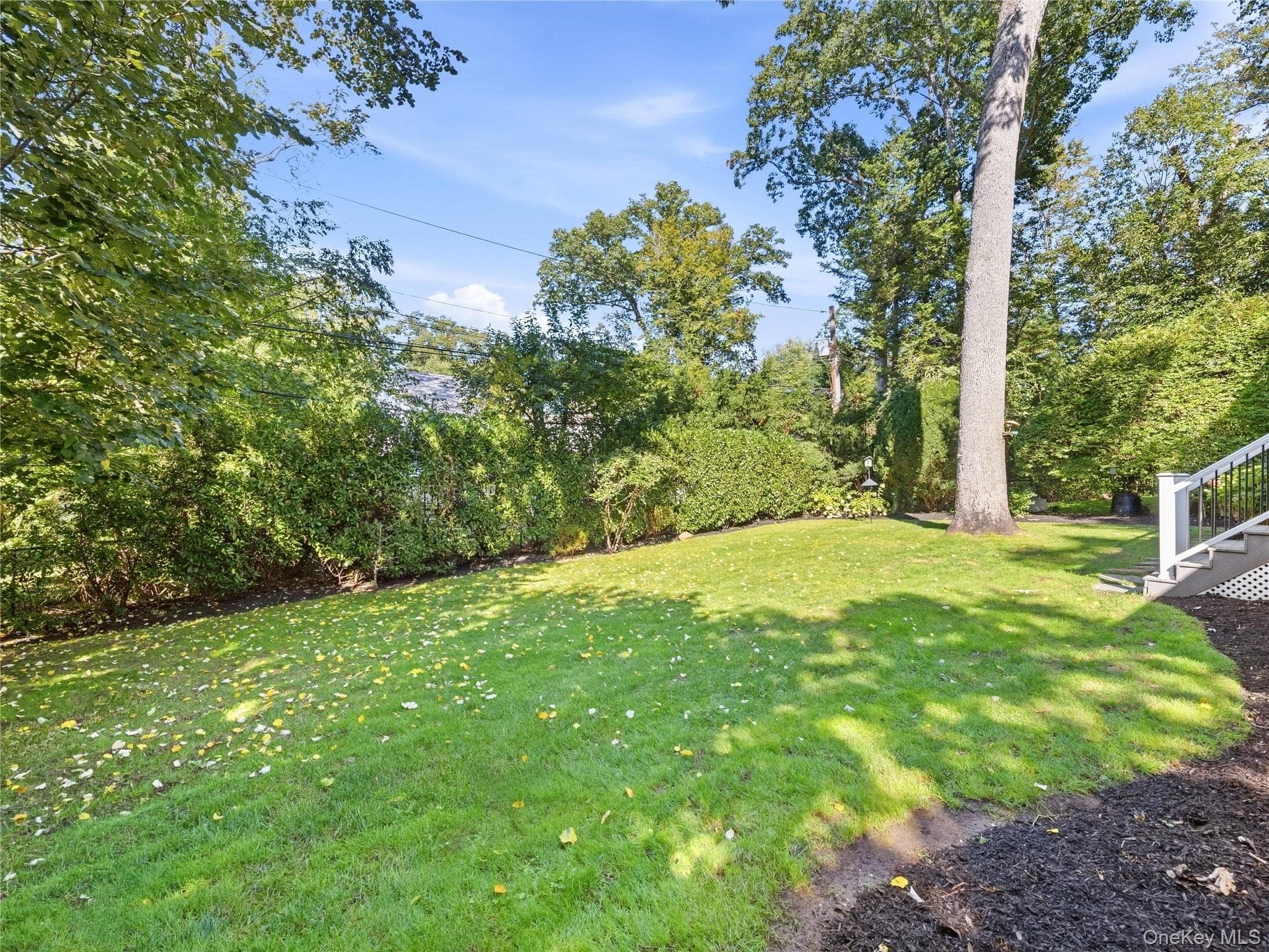 95 Dartmouth Road thumbnail 29