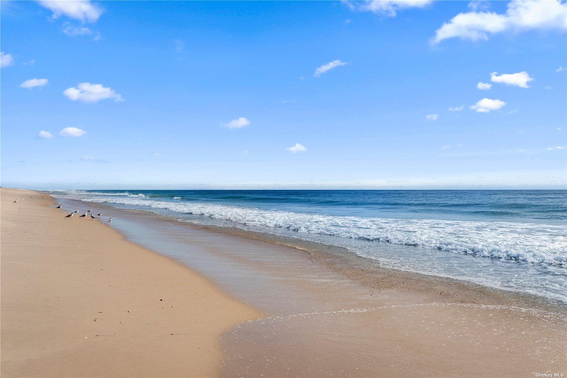 157 Dune Road thumbnail 34