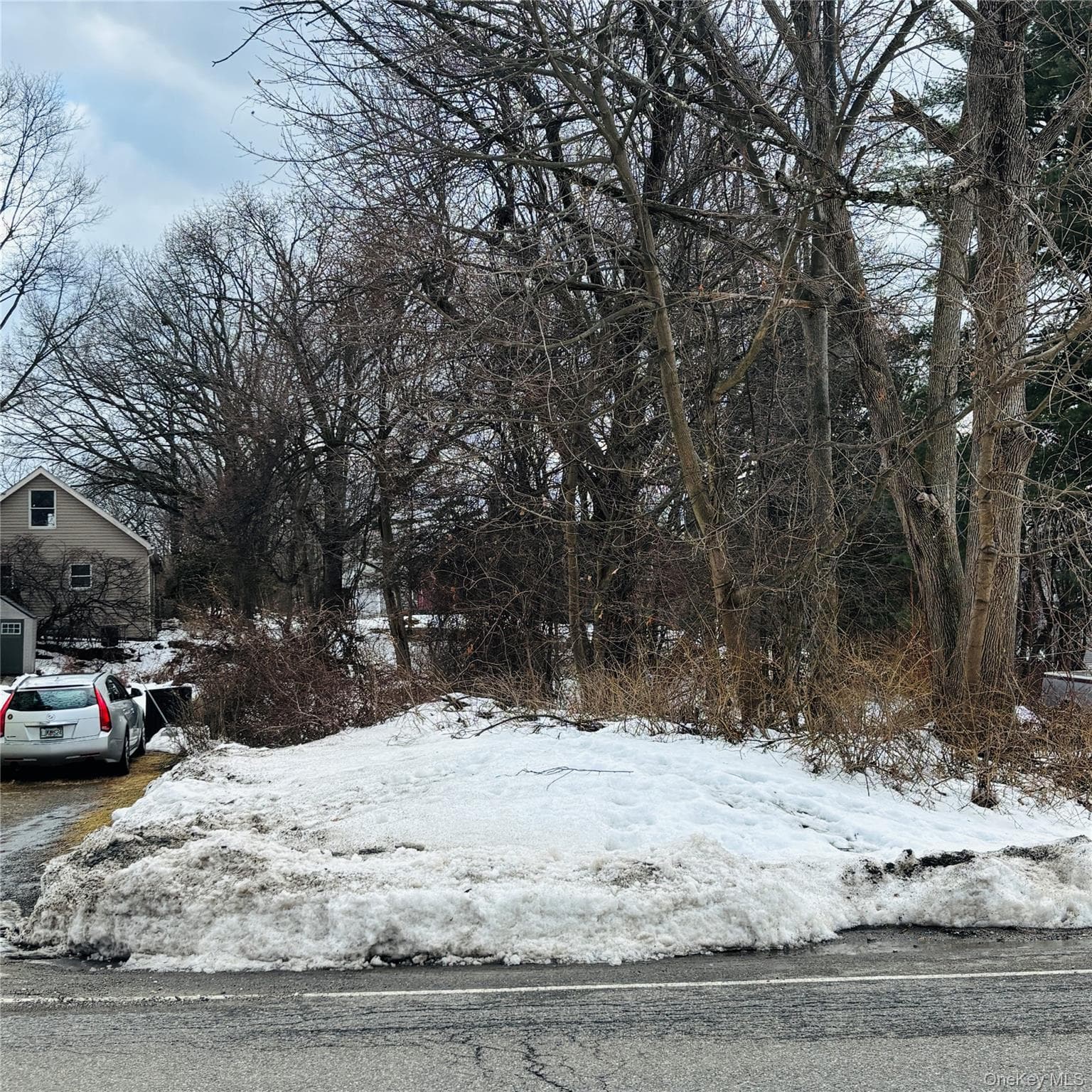Between 229 and 231 Westchester Avenue thumbnail 4