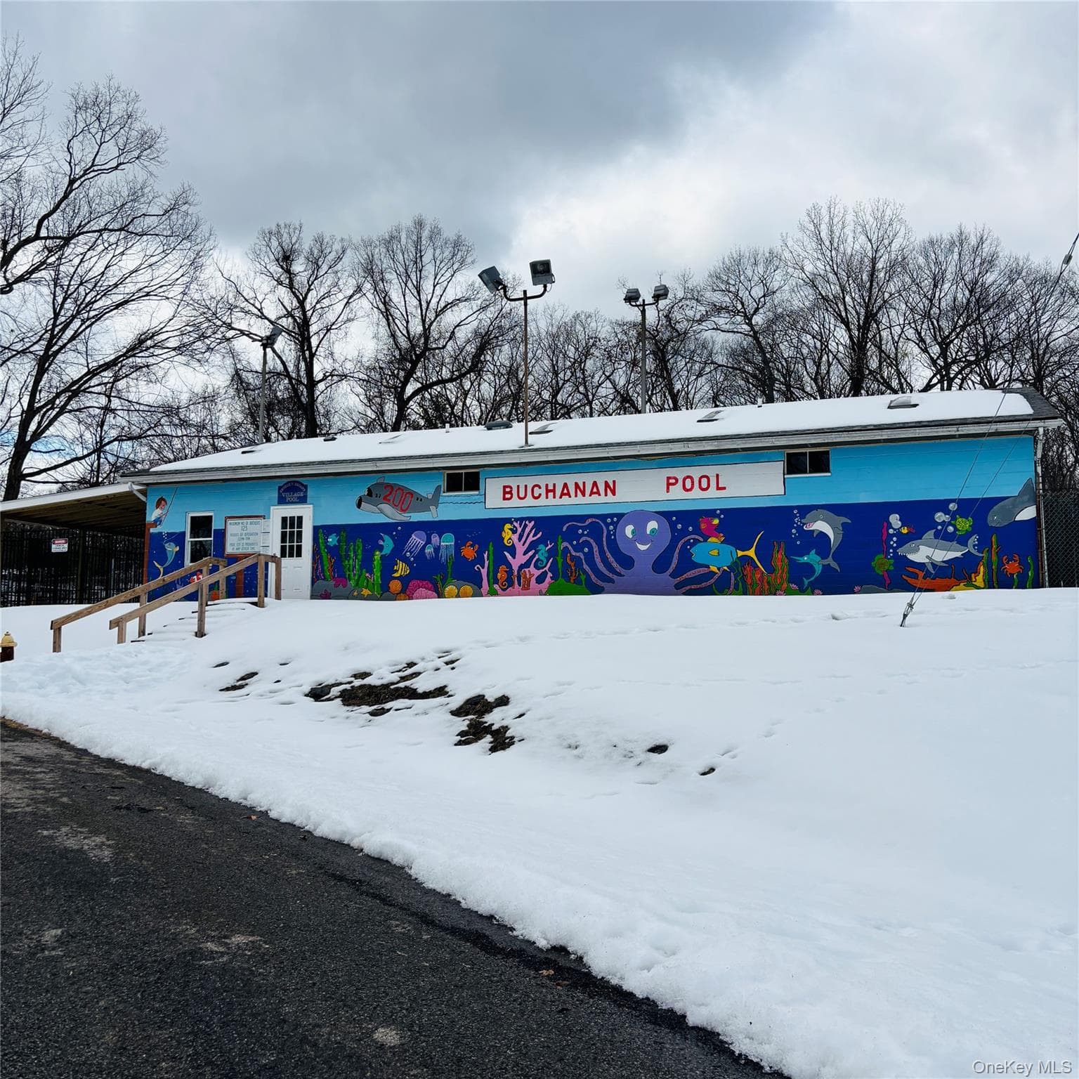 Between 229 and 231 Westchester Avenue thumbnail 8