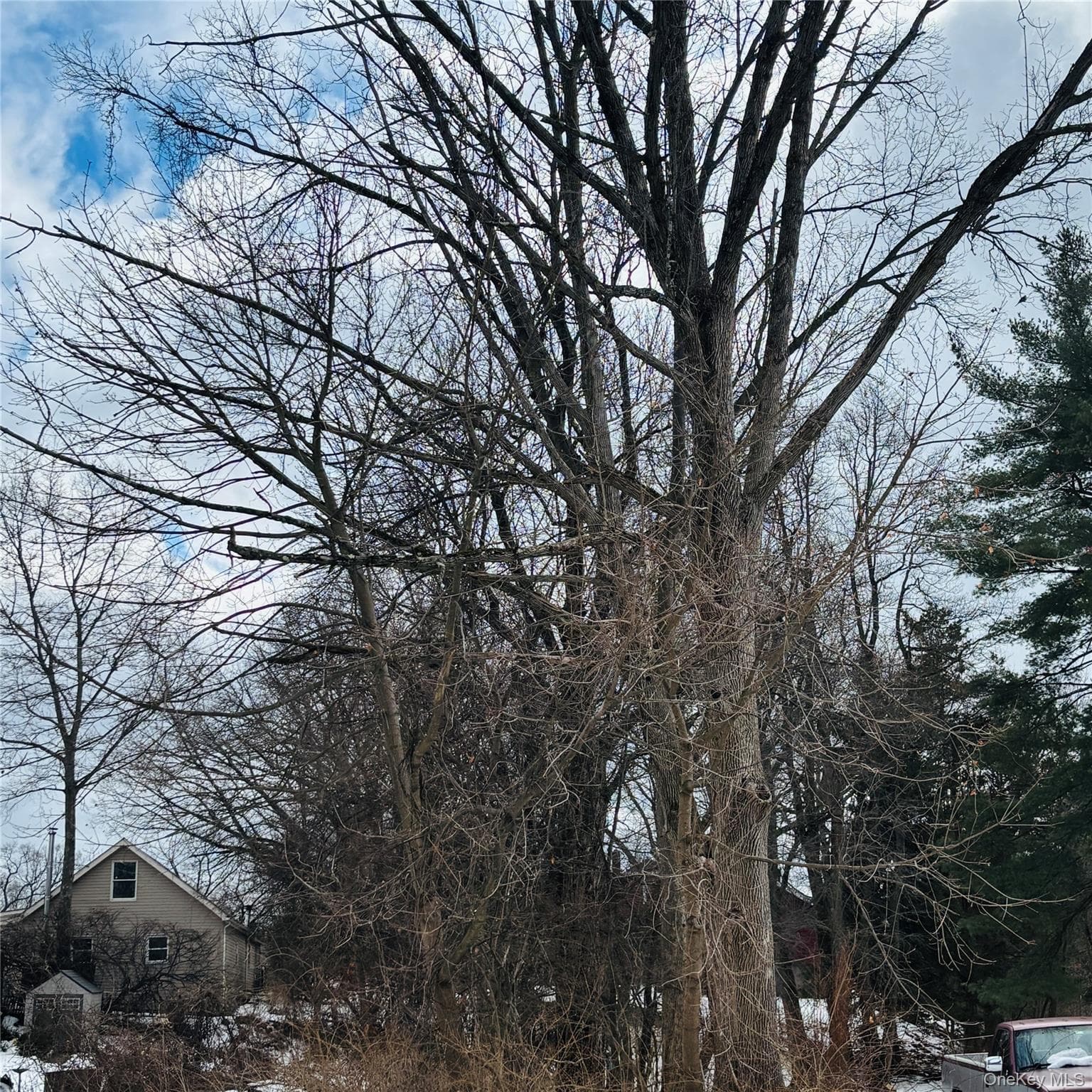 Between 229 and 231 Westchester Avenue thumbnail 3