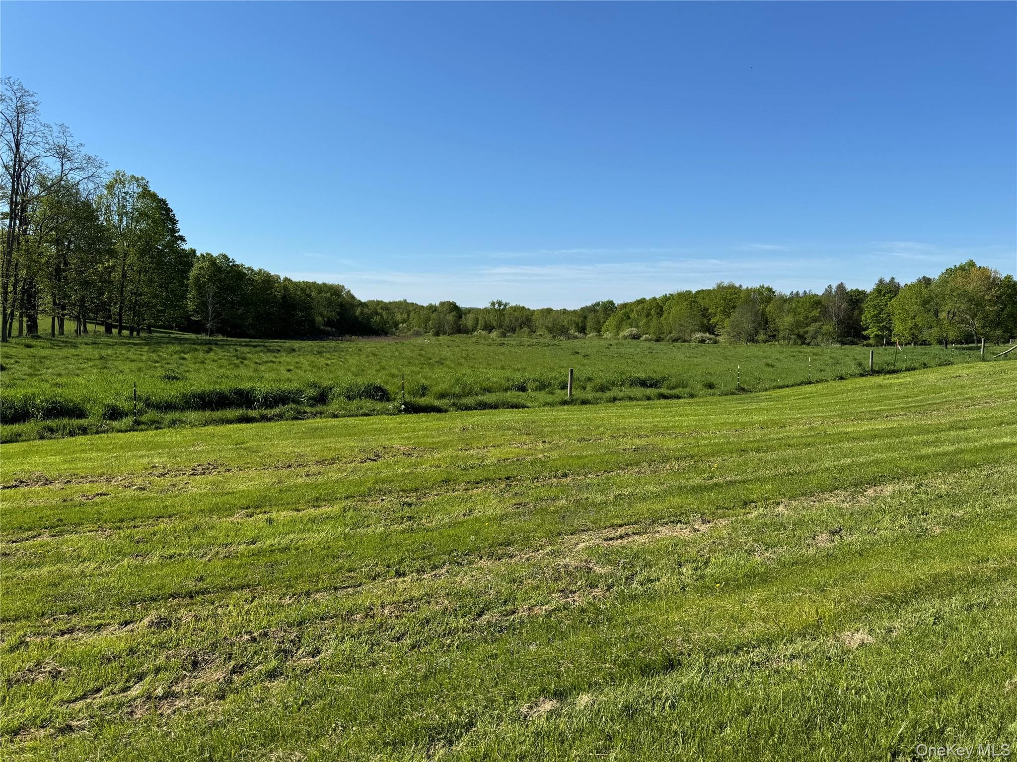 TBD Woodstock Road thumbnail 4