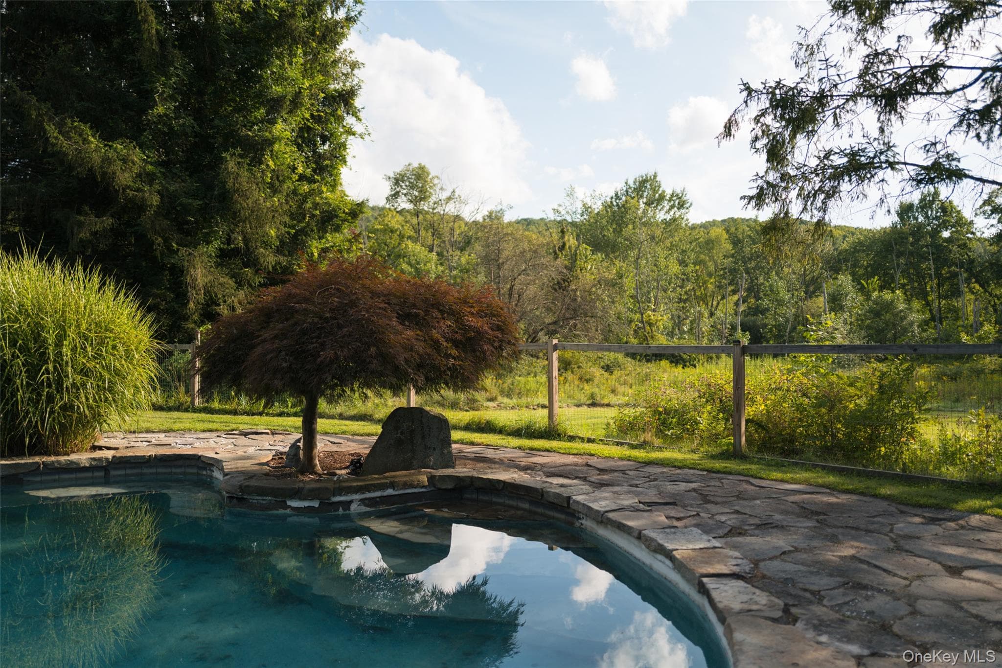 55 E Klein Road thumbnail 26