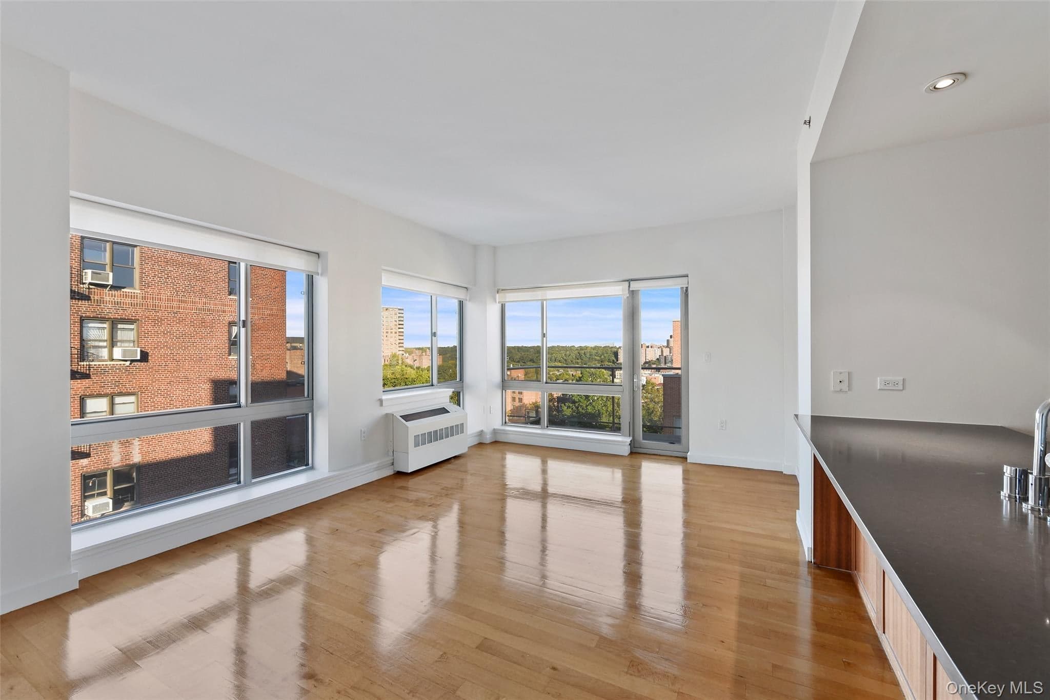 460 W 236th Street Unit: 6A thumbnail 4