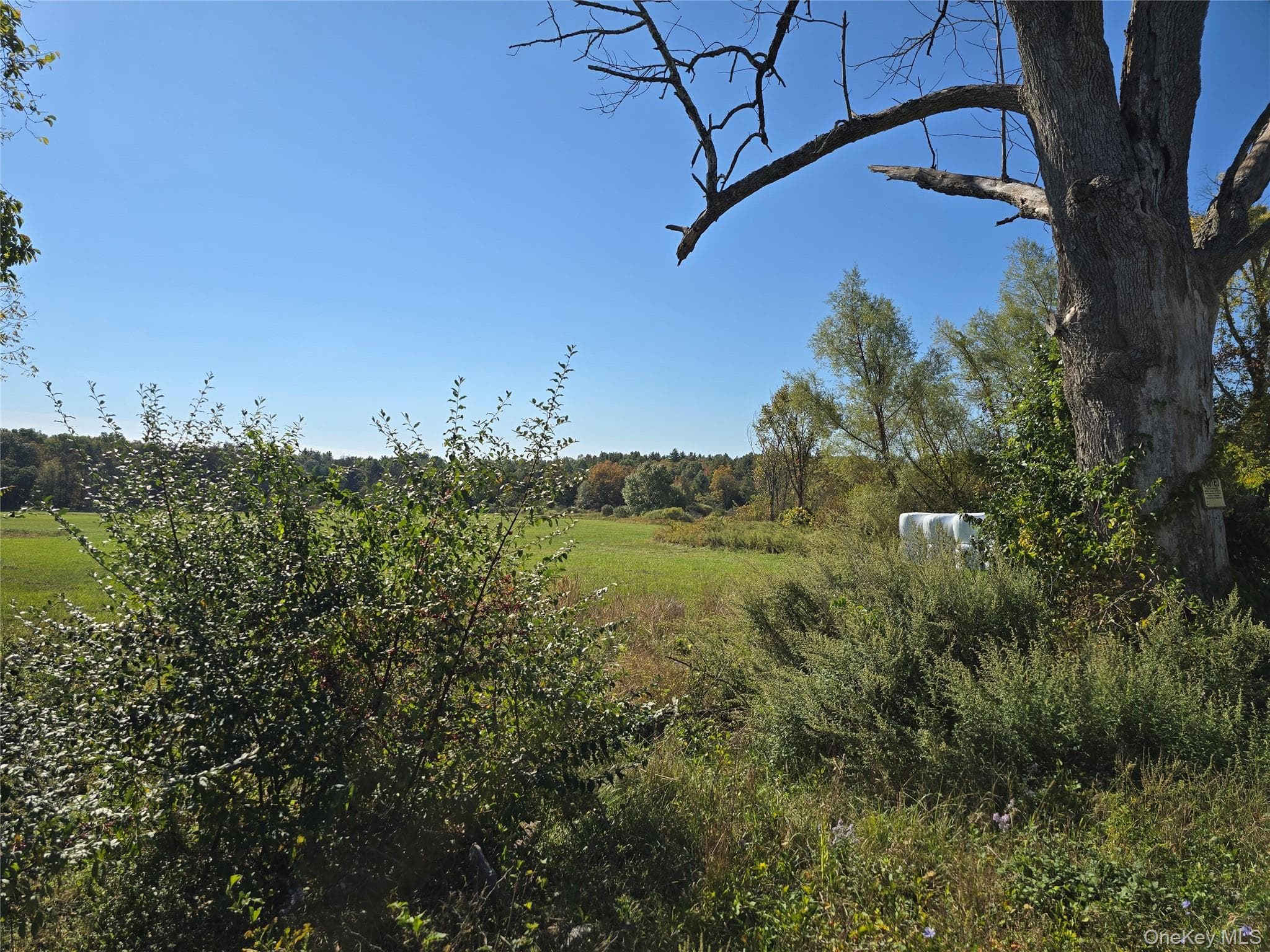 171 Winterton Road thumbnail 5