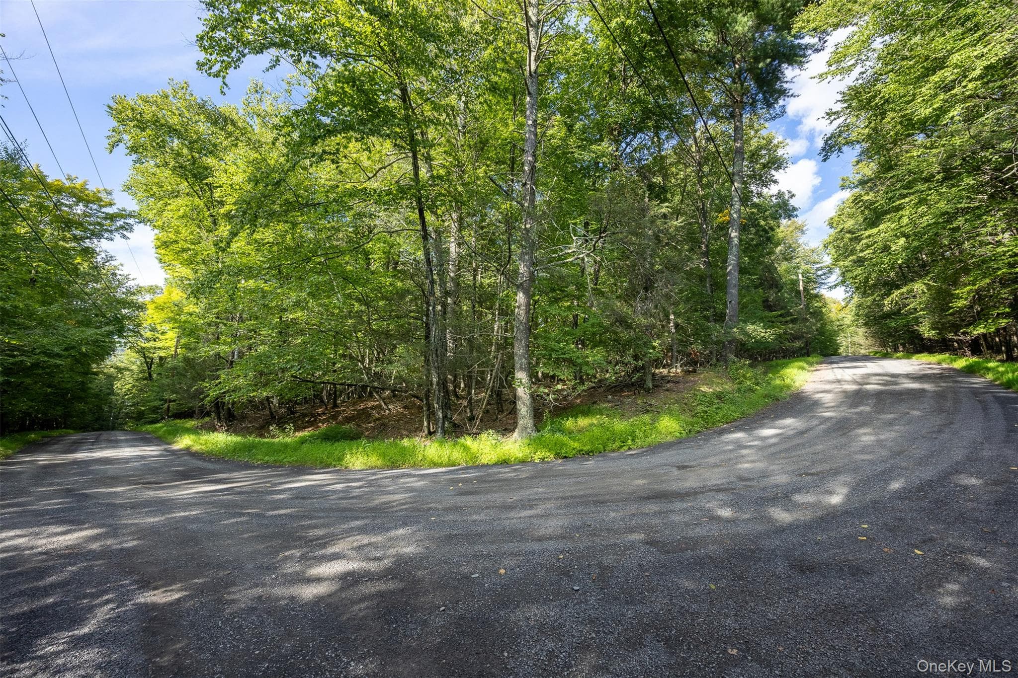 Lot 6 Mt Guardian Road thumbnail 4