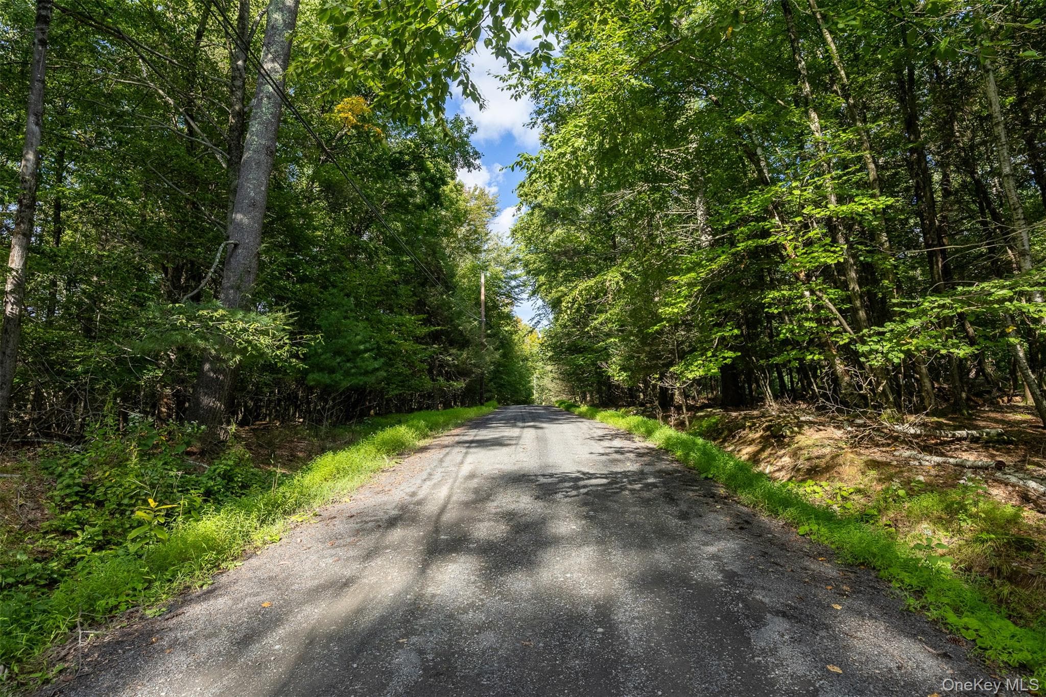 Lot 6 Mt Guardian Road thumbnail 3