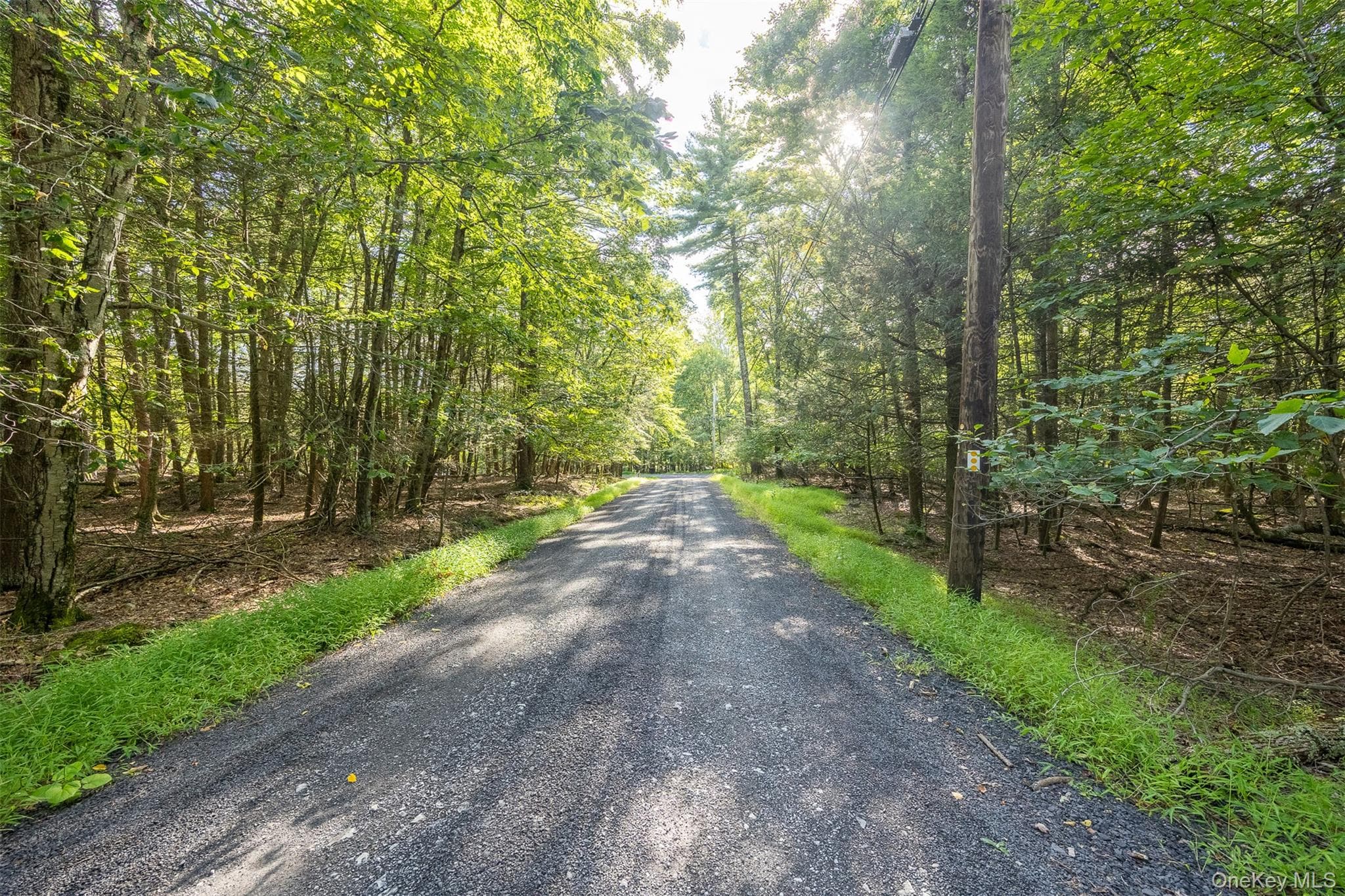 Lot 6 Mt Guardian Road thumbnail 5