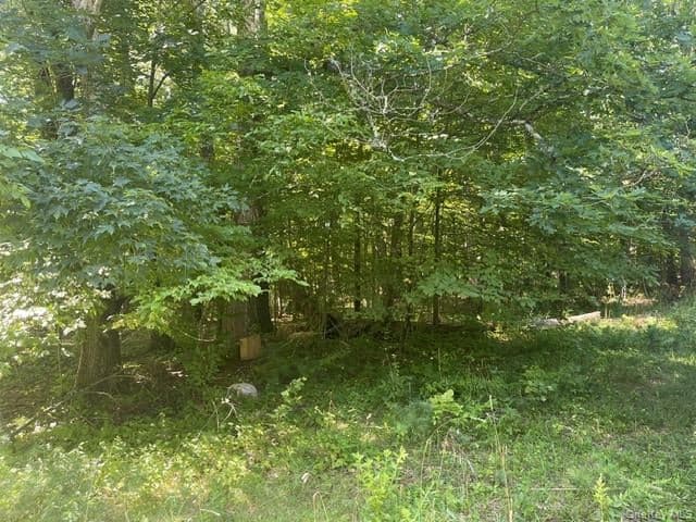 171 Woodland Drive thumbnail 3