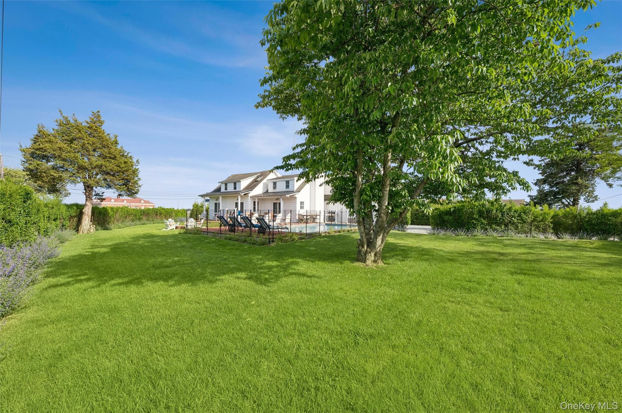 87 Foster Avenue thumbnail 26