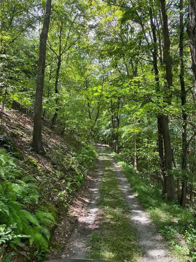 Mile High Road thumbnail 11