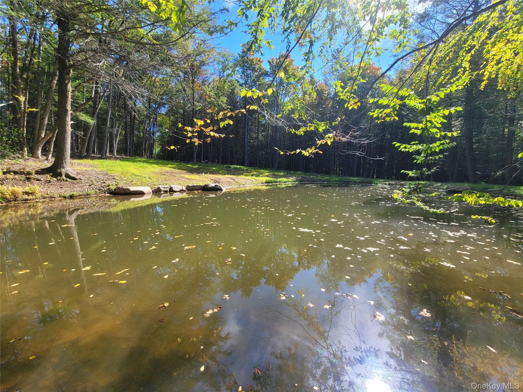 361 Ahrens Road thumbnail 6