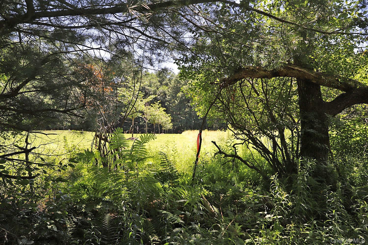 Lot 4A Hurd Road thumbnail 2