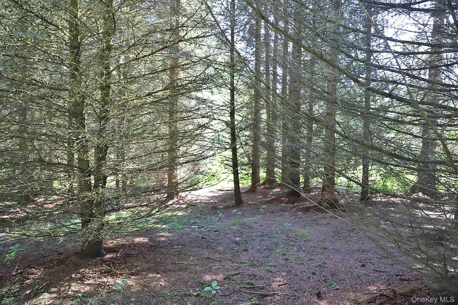 Lot 4A Hurd Road thumbnail 14