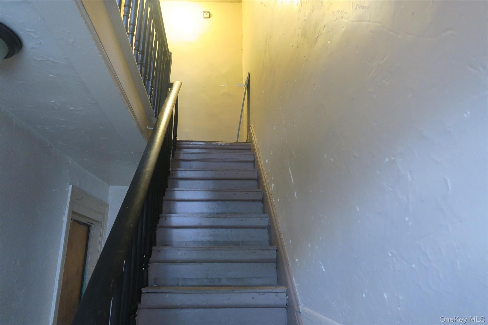 27 Carter Street thumbnail 6