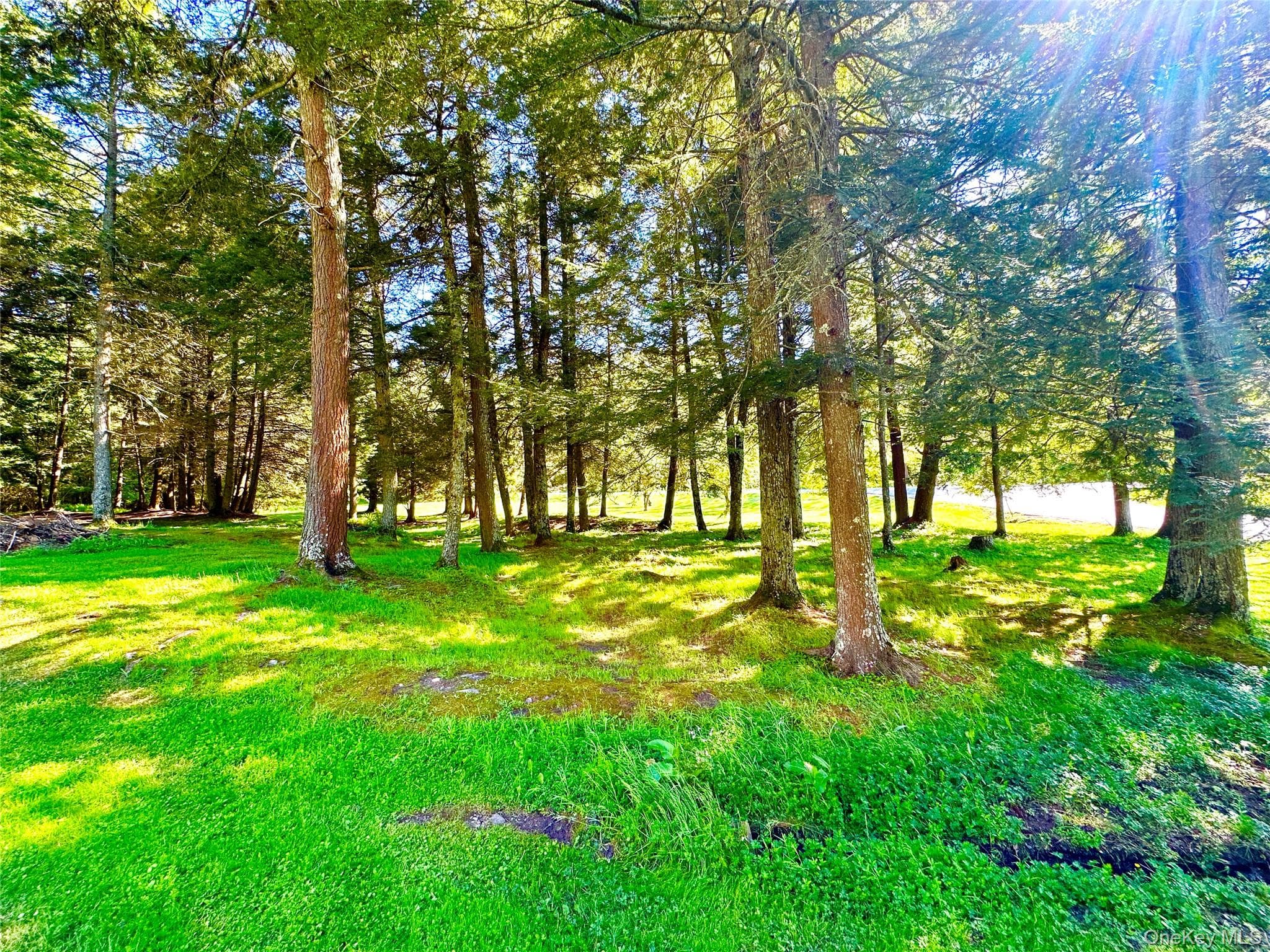 12 Mesmer RD thumbnail 17