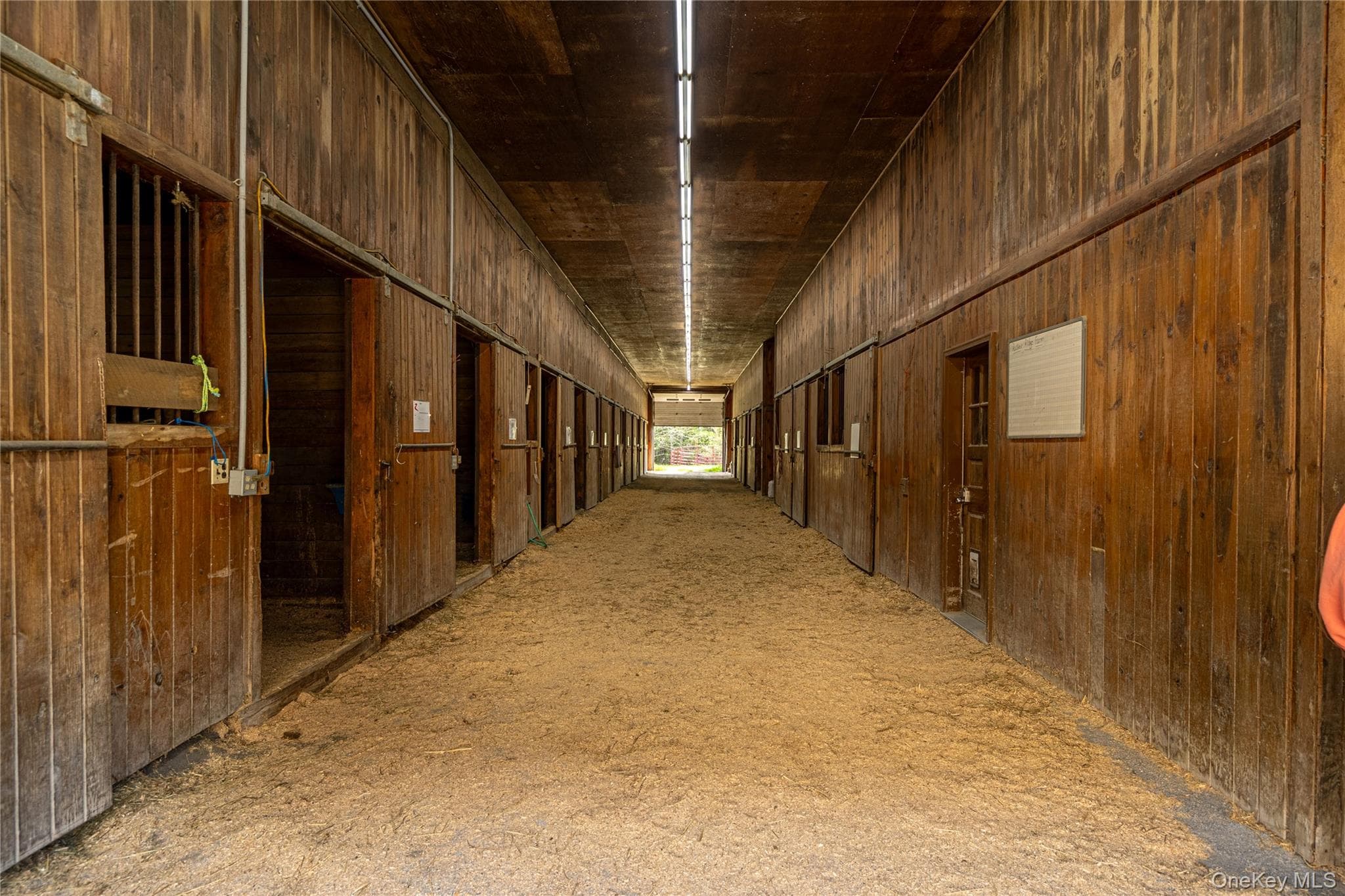 83 Pucker Street thumbnail 4