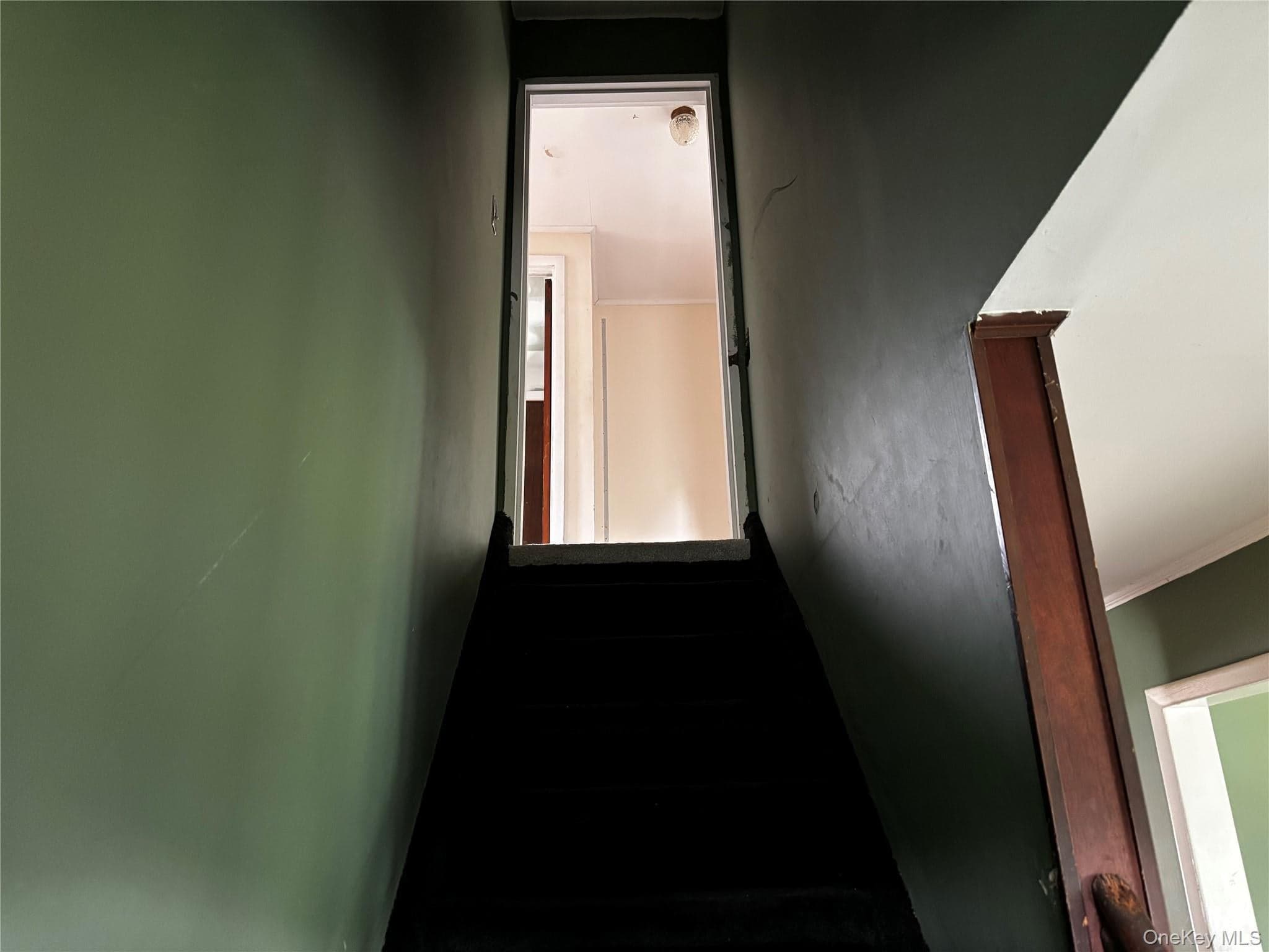 105 Rutledge Road thumbnail 18