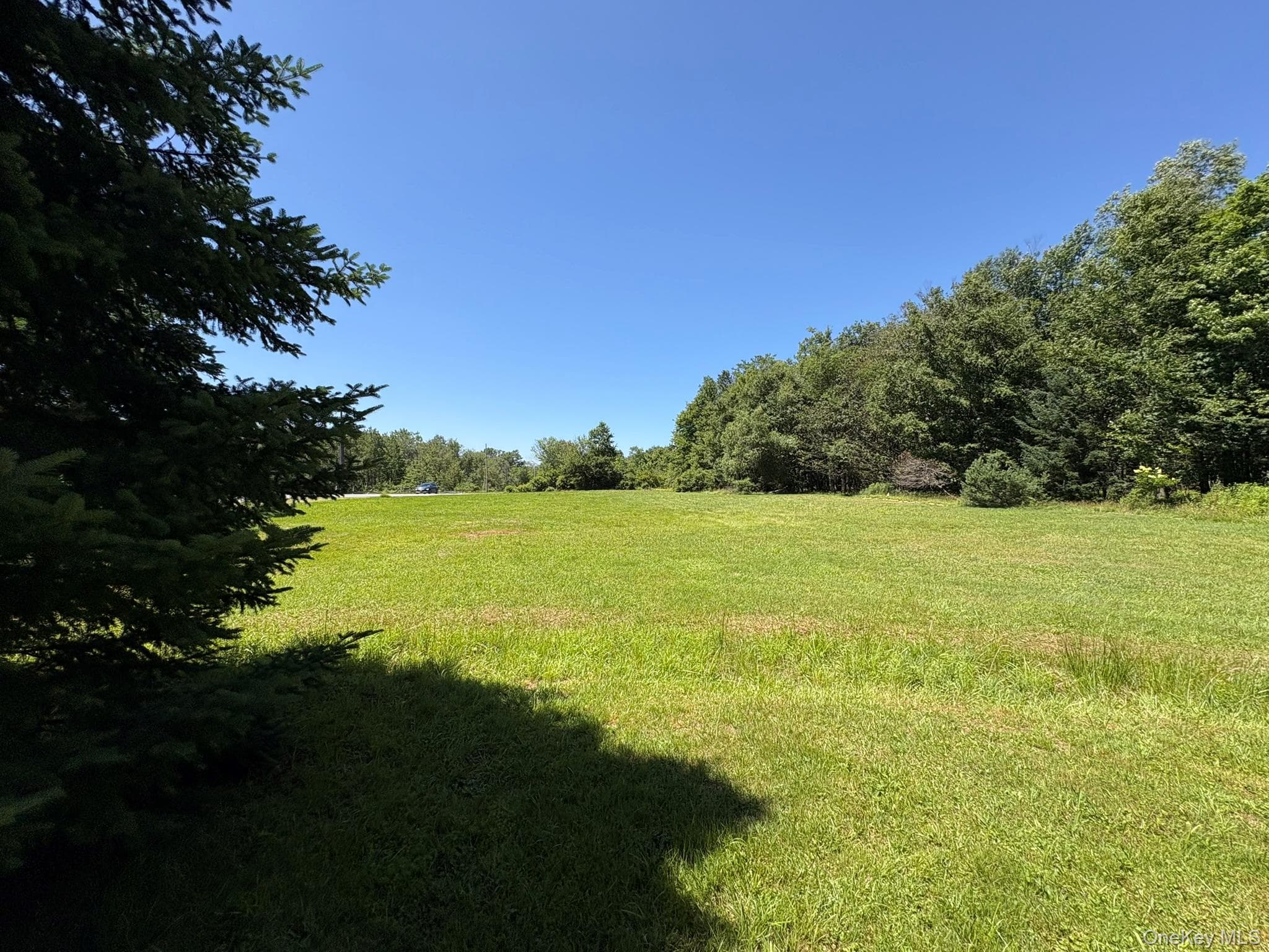 909 County Road 93 thumbnail 22