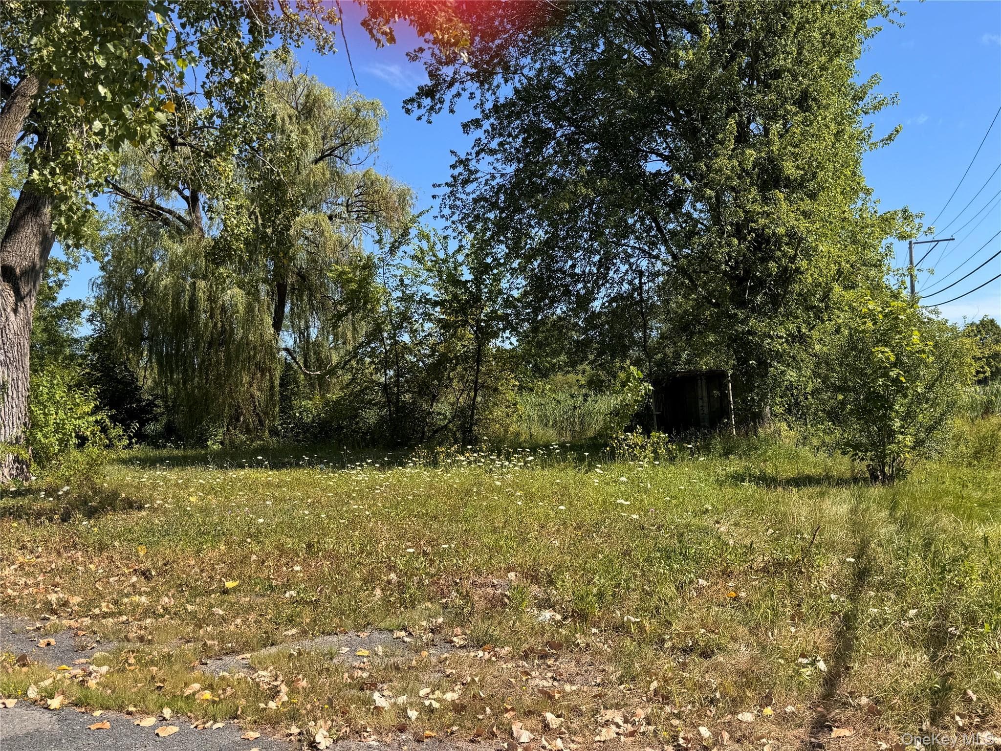 11559 State Route 9w thumbnail 20