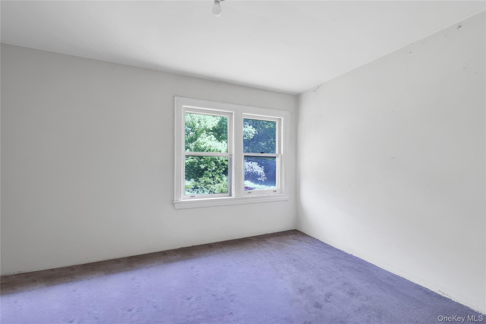 14 Clover Drive thumbnail 14