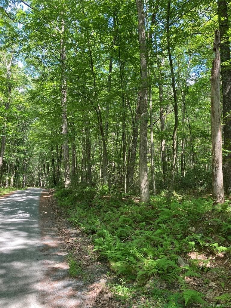 Allen Road thumbnail 3