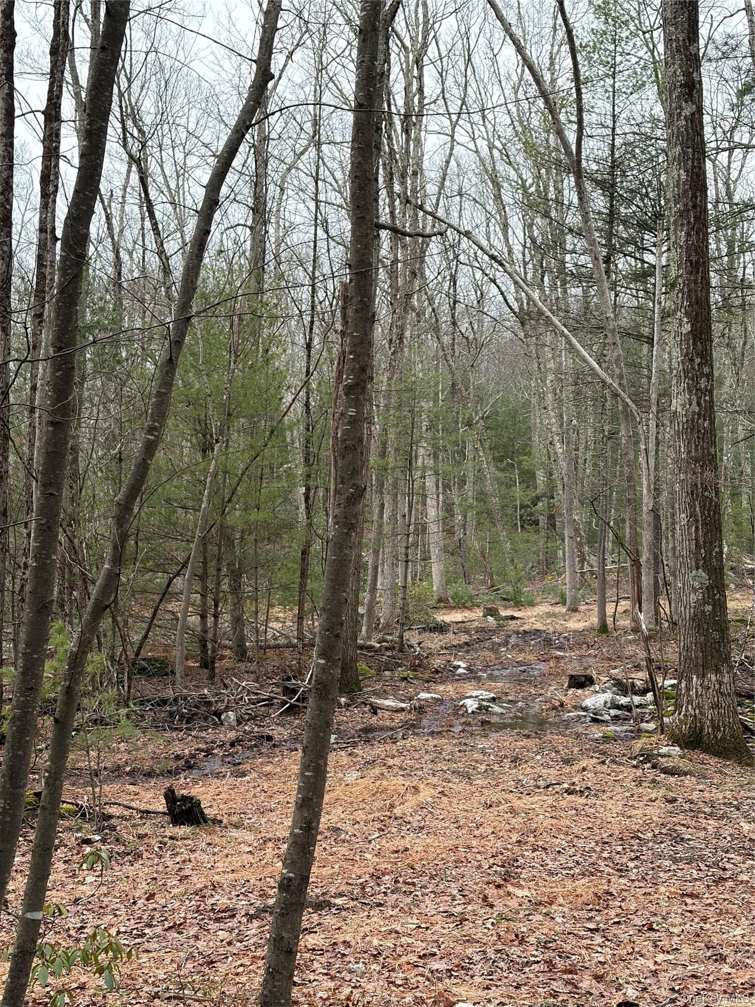 Allen Road thumbnail 13