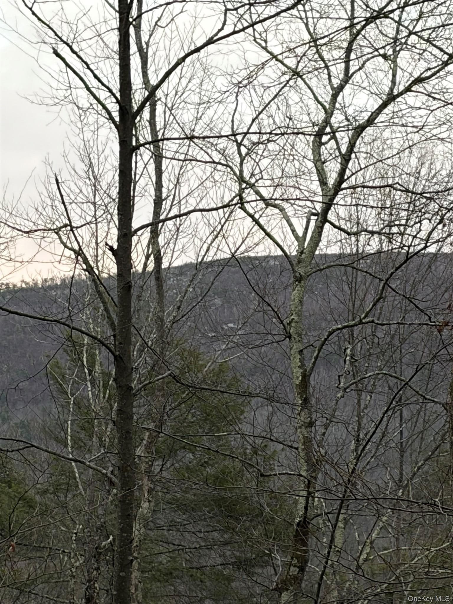 Allen Road thumbnail 18