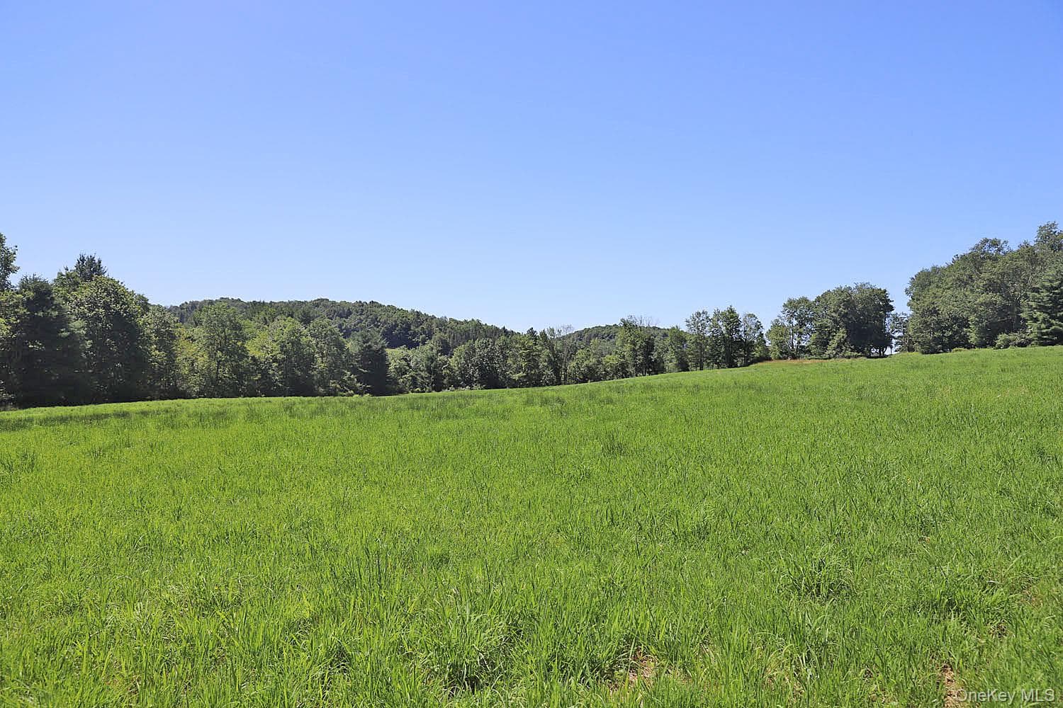 Lot 4B Hurd Road thumbnail 4