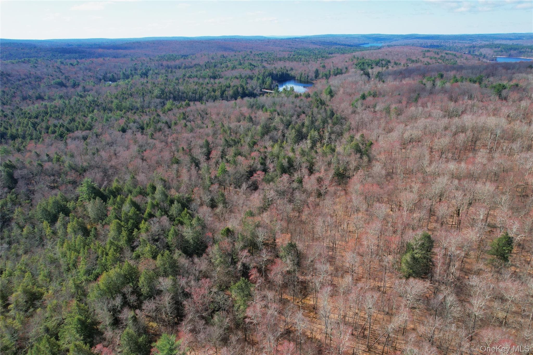 118 Hilltop Road thumbnail 42