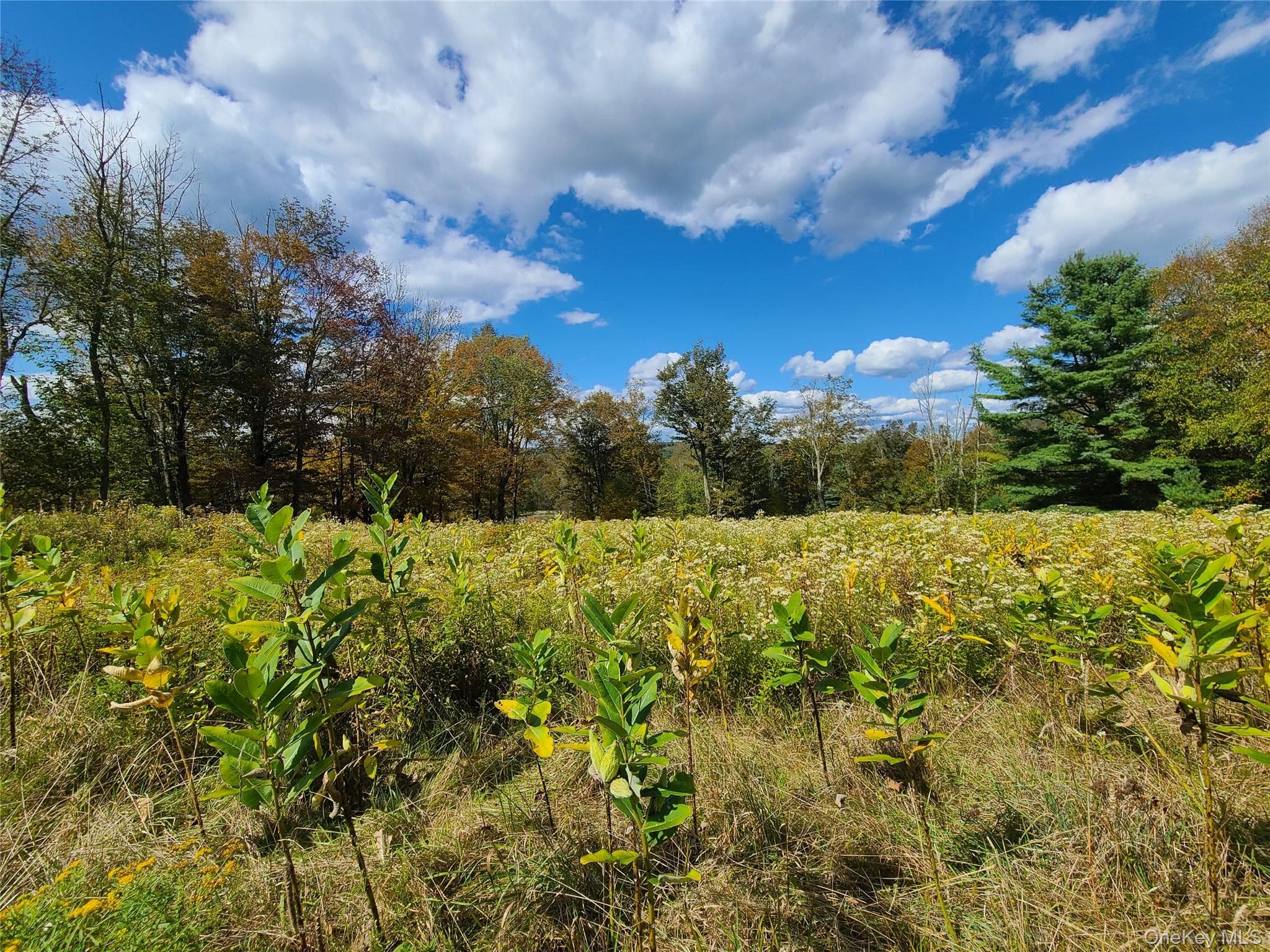 118 Hilltop Road thumbnail 27