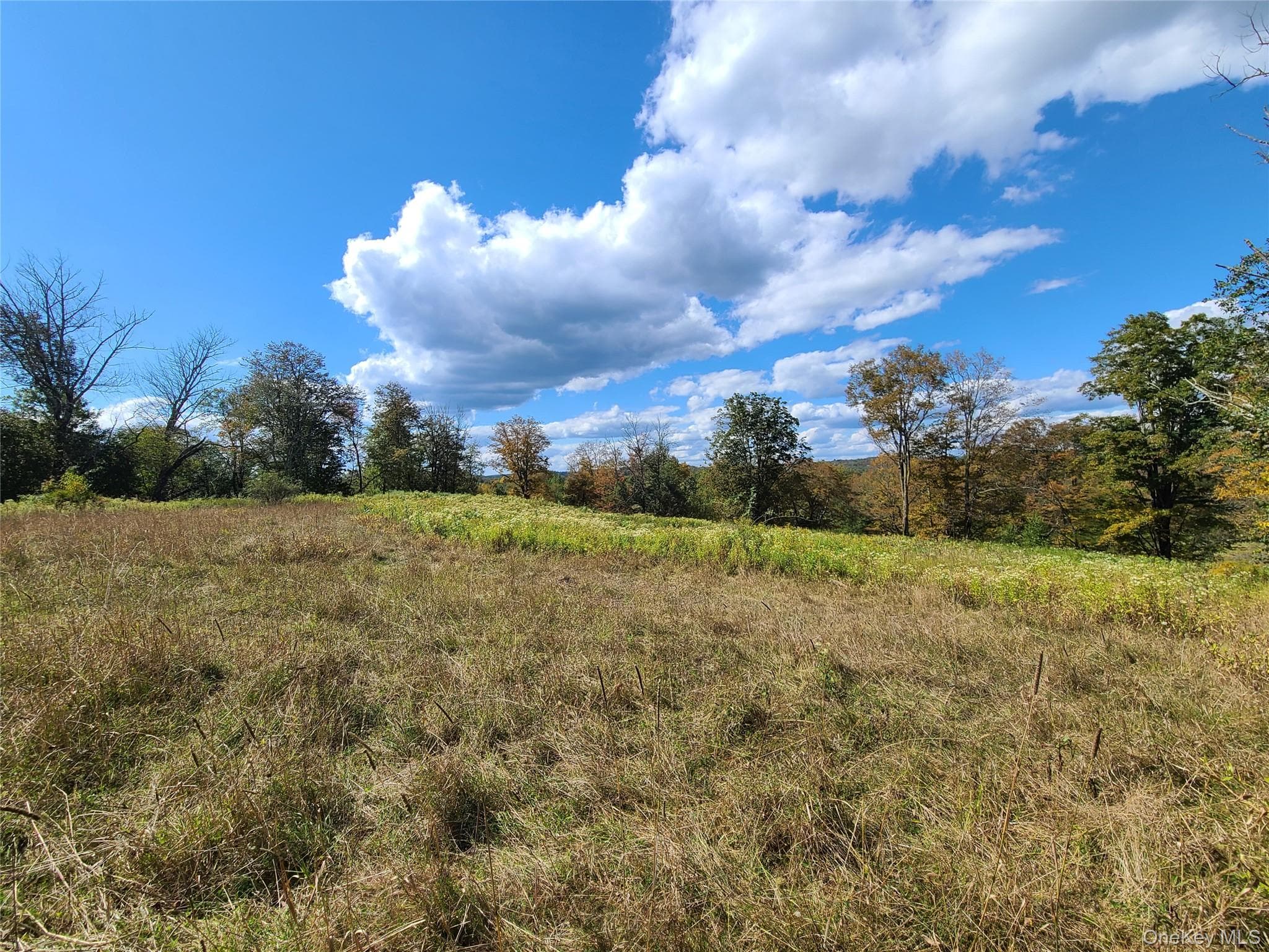 118 Hilltop Road thumbnail 28