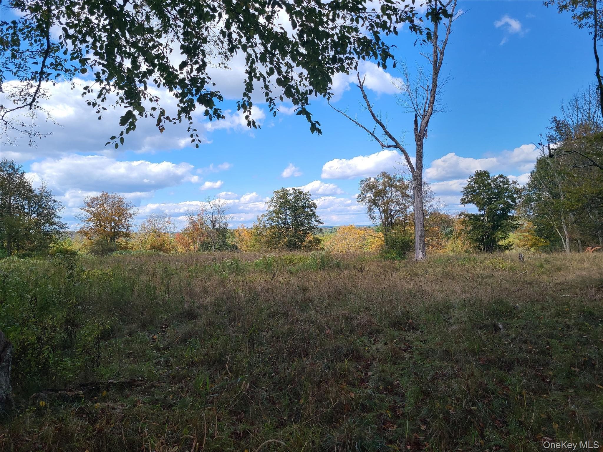 118 Hilltop Road thumbnail 16