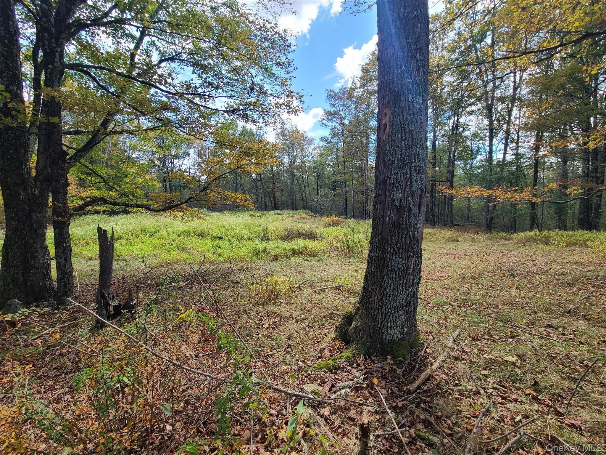 118 Hilltop Road thumbnail 13